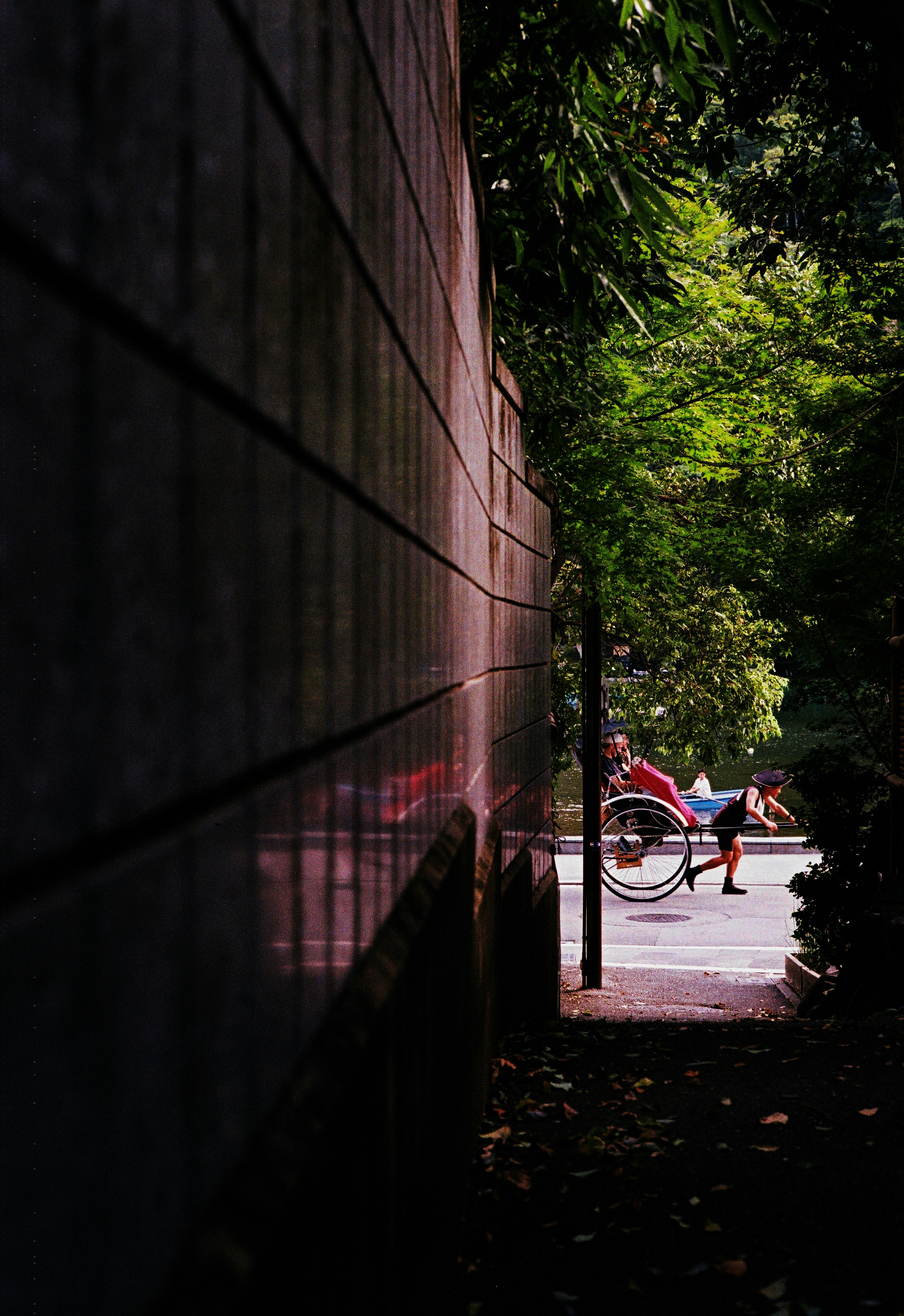 photo-iKQ3VpjAV1dngYW3VCFQ-image