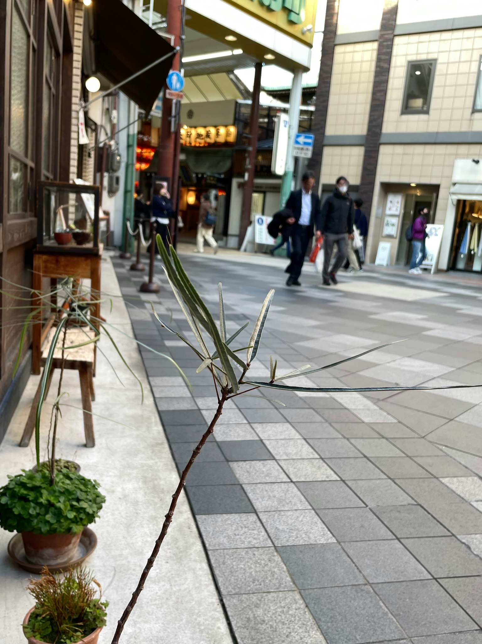 城市街道上行人和咖啡馆的户外景观