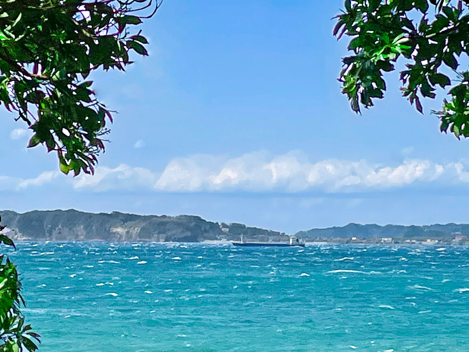 Scenic view of blue ocean and islands framed by green leaves