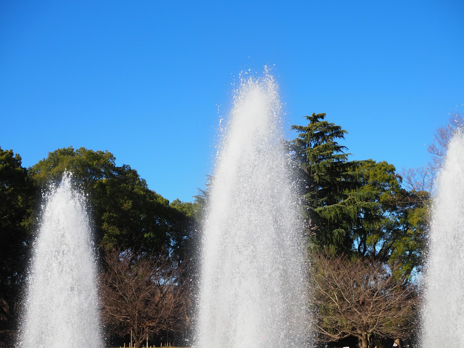 Brunnen sprudeln Wasser unter einem blauen Himmel mit grünen Bäumen in einer Winterlandschaft