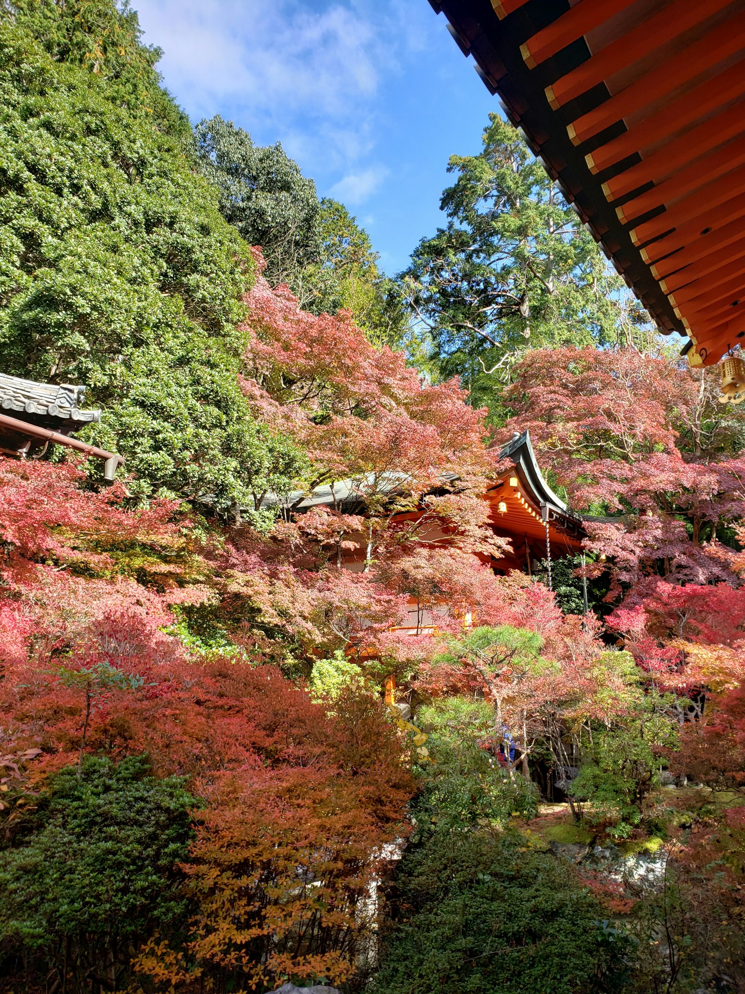 Un paysage avec un temple entouré de feuillage automnal vibrant