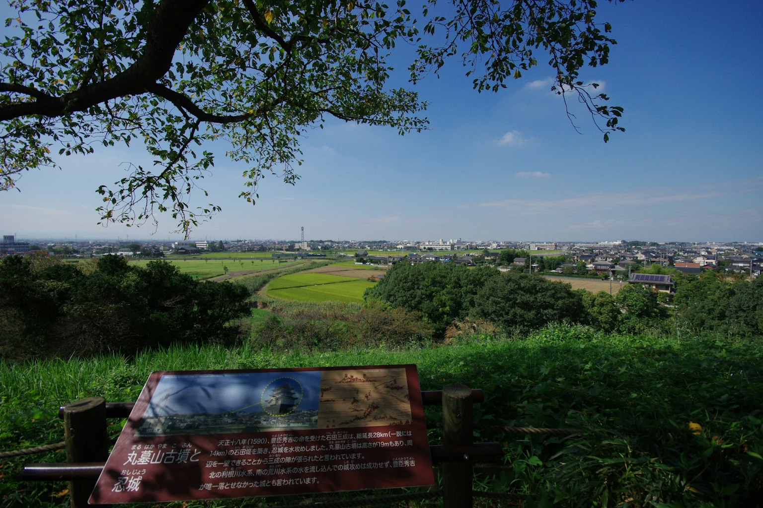 郁郁葱葱的风景和蓝天下的田野景观
