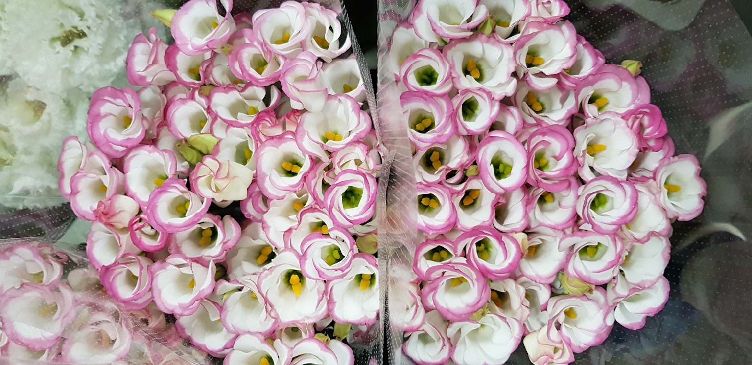 Un beau bouquet de fleurs avec des pétales roses