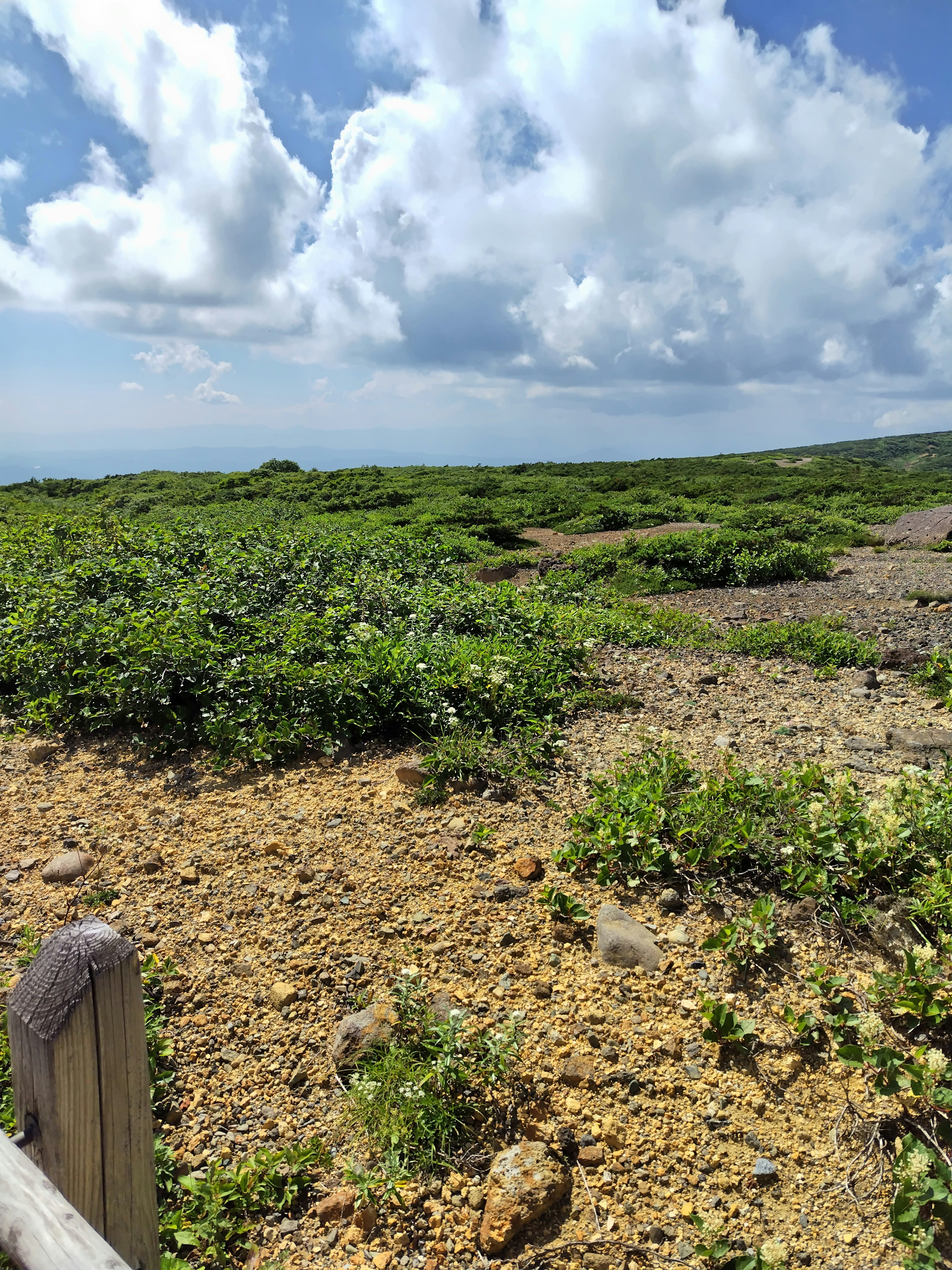雲の広がる青空の下の草原と山の景色