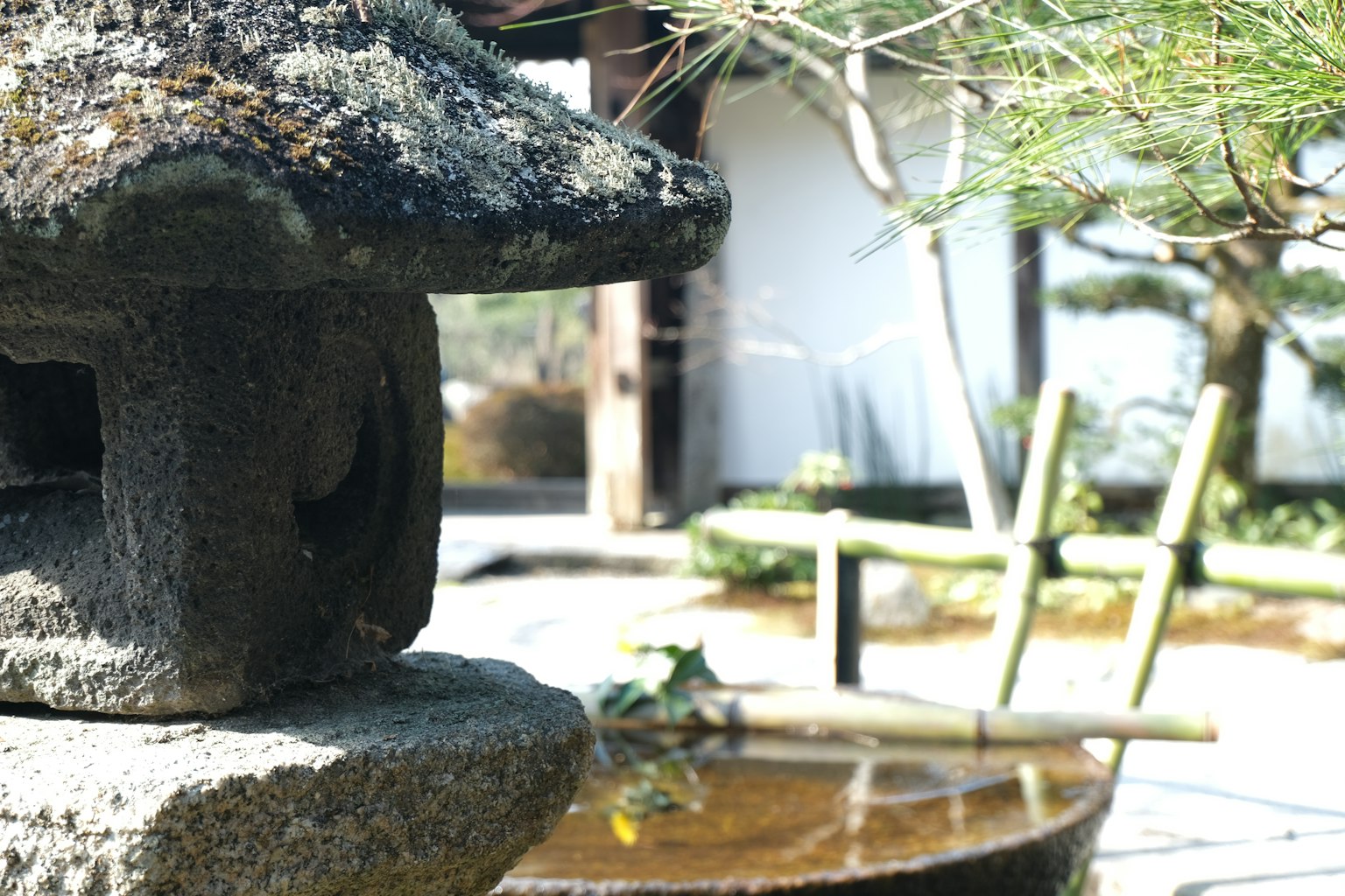 Lentera batu dengan taman Jepang di latar belakang