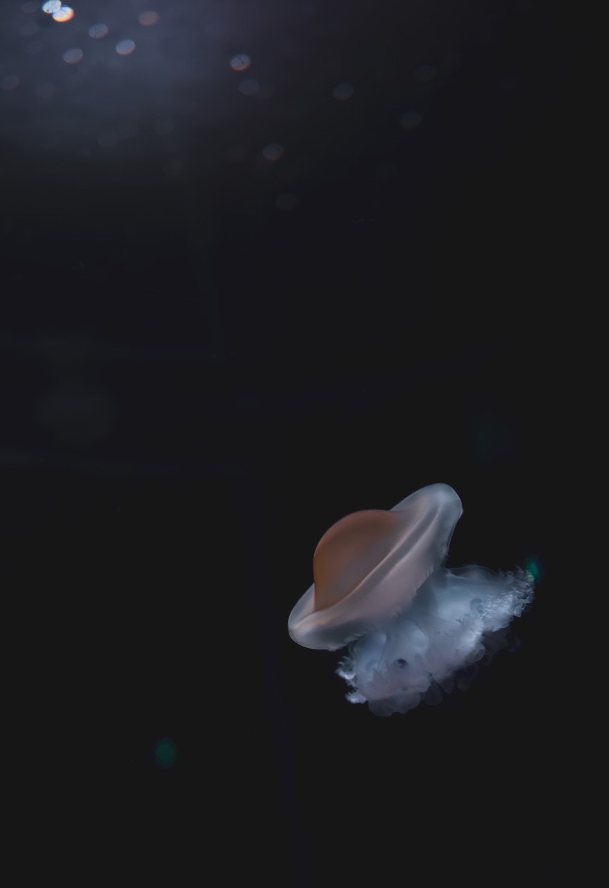 우주 배경에 떠 있는 토성의 일러스트 광택 있는 고리와 갈색 행성