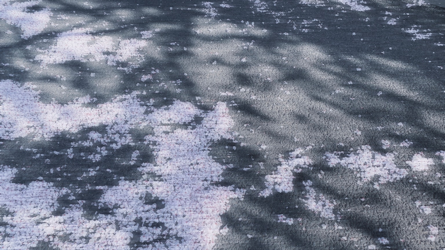 Eine strukturierte Oberfläche mit verstreuten weißen Punkten auf blauem Hintergrund