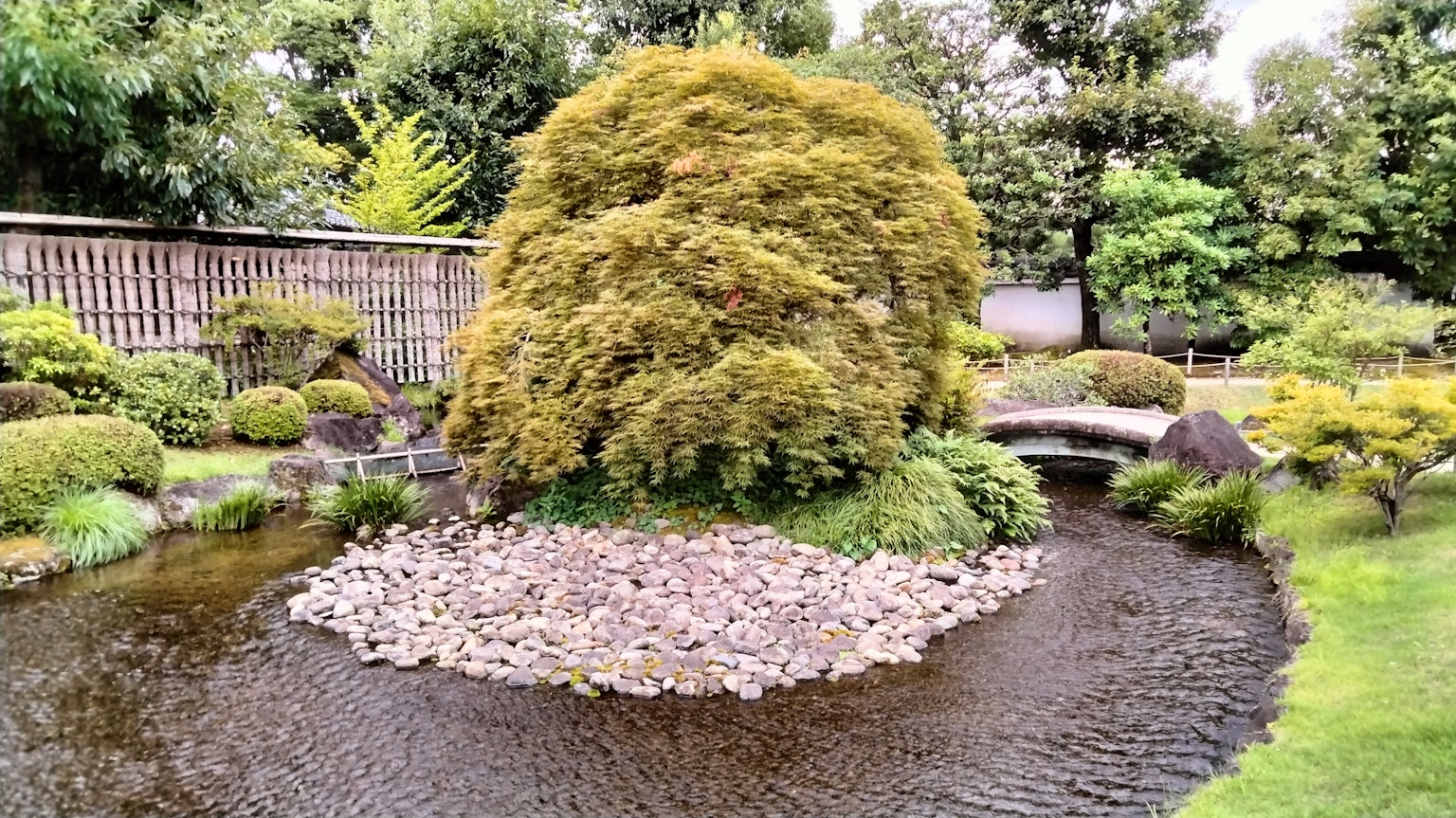 Beautiful Japanese garden with a pond and a green tree on a stone island