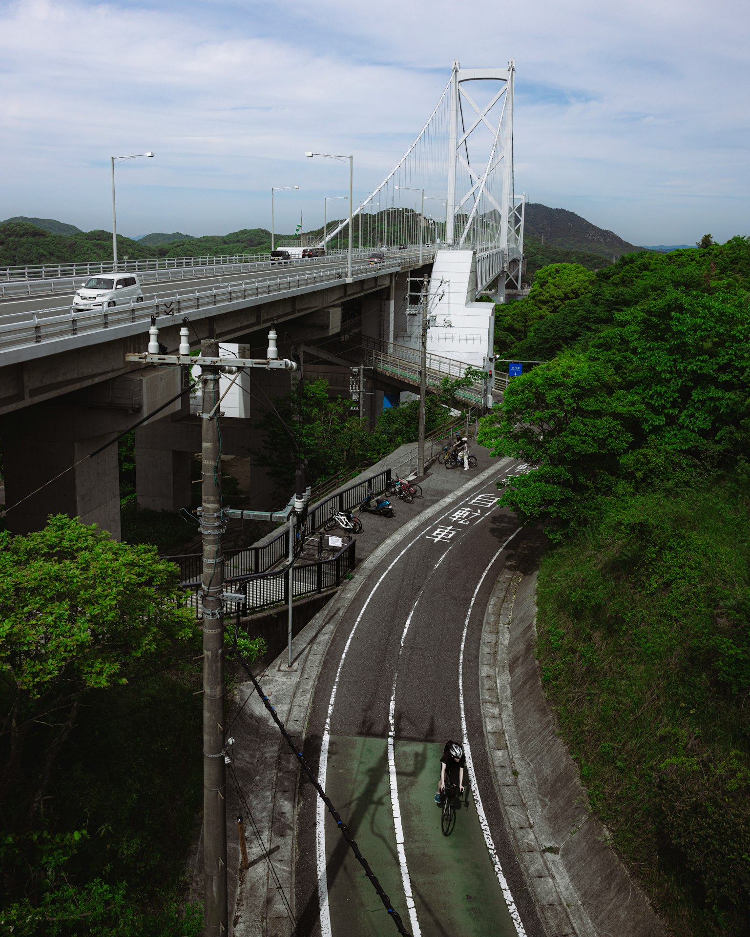 Malerei einer erhöhten Autobahn und Brücke, umgeben von Grün