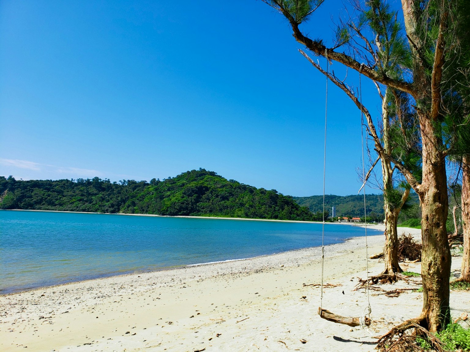 Pantai dengan ayunan tergantung dari pohon di bawah langit biru dan air jernih