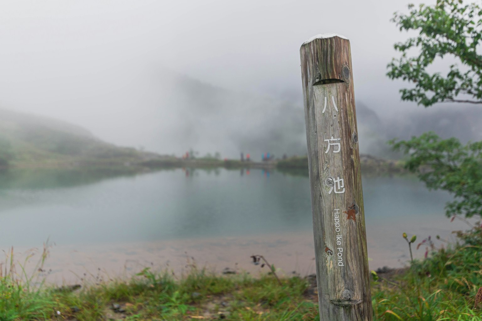 Misty lake view with a wooden signpost