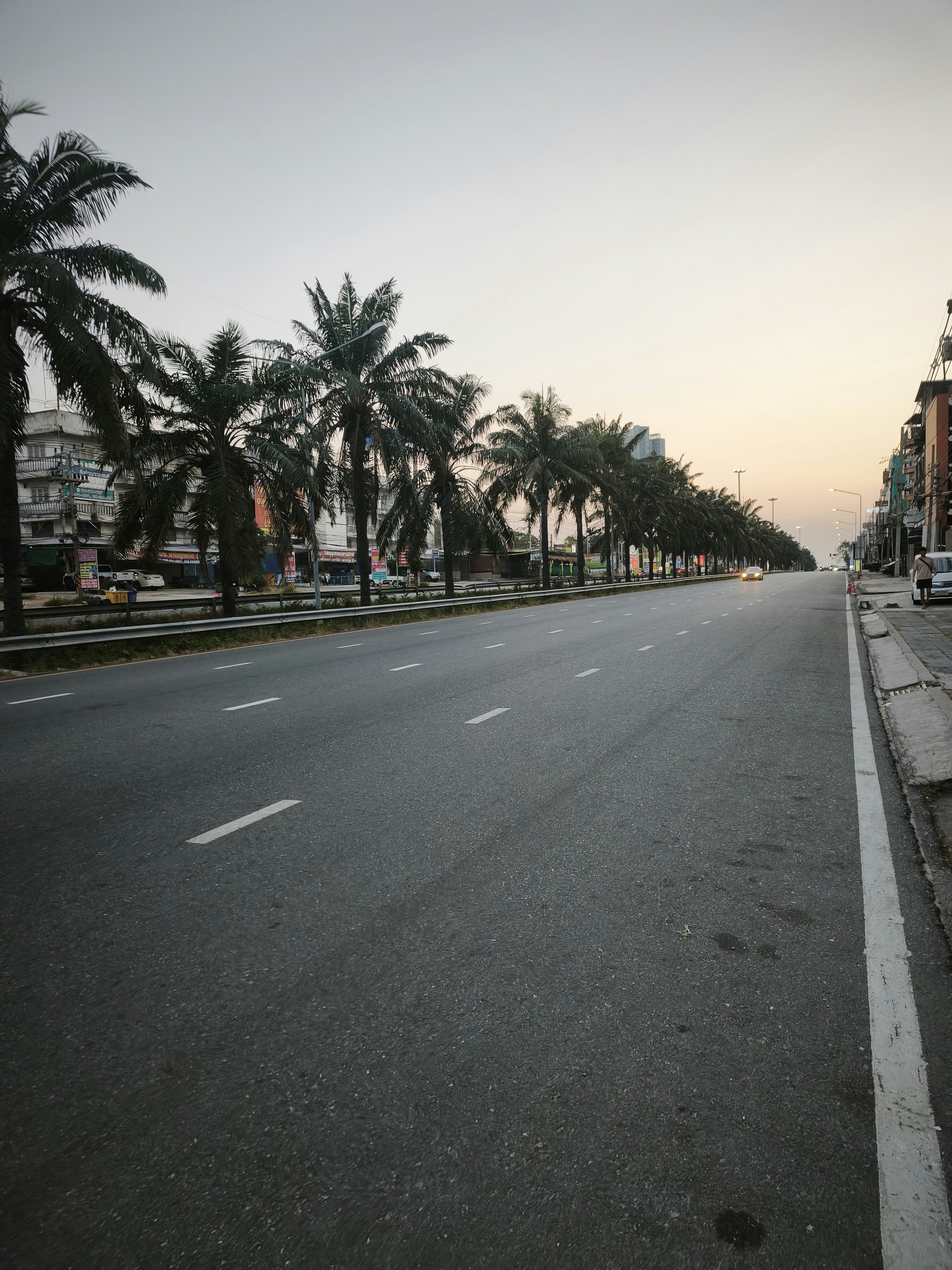 ヤシ並木のある広い道路の夕暮れ景色