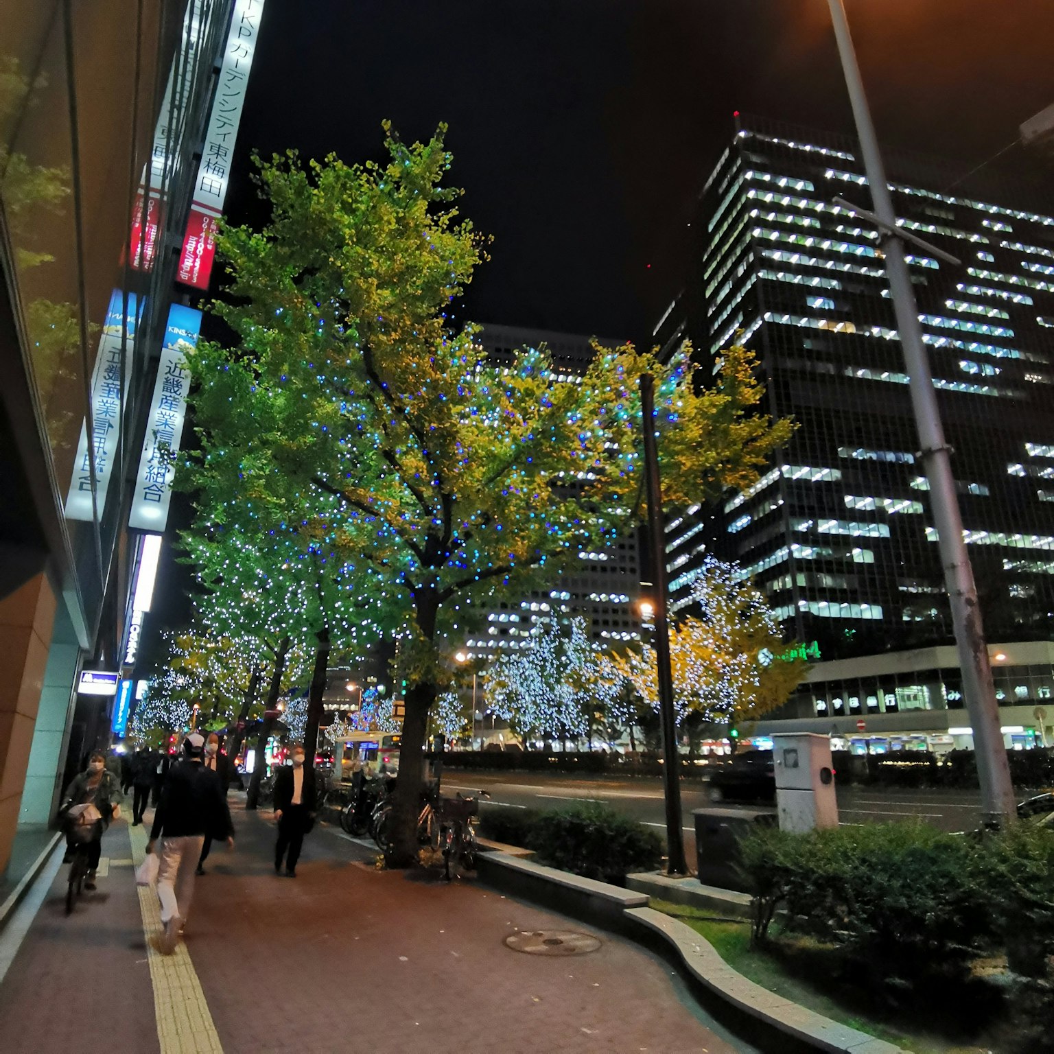Cityscape at night featuring illuminated trees and skyscrapers