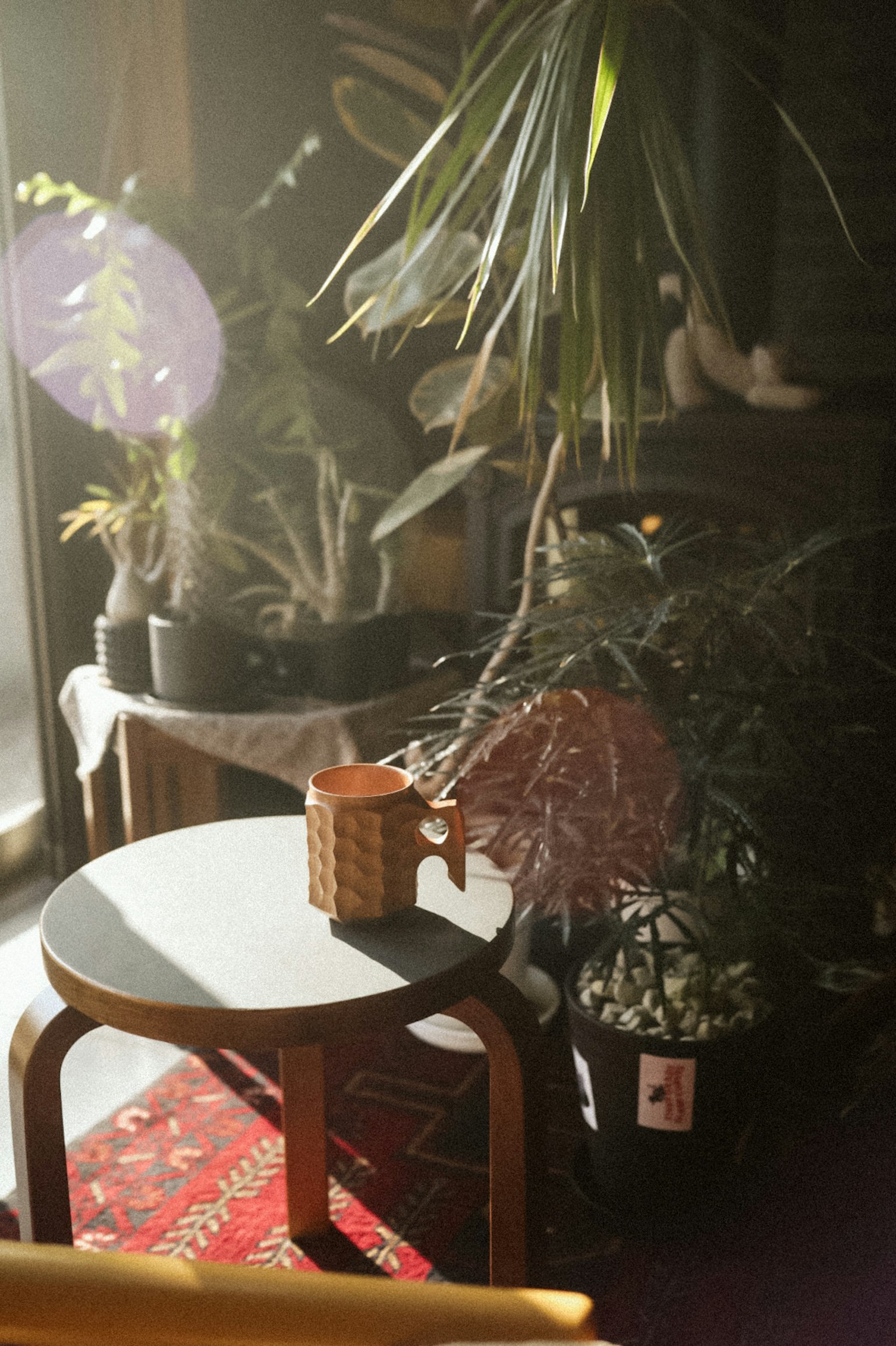 植物が置かれたテーブルと柔らかな光が差し込む室内の風景