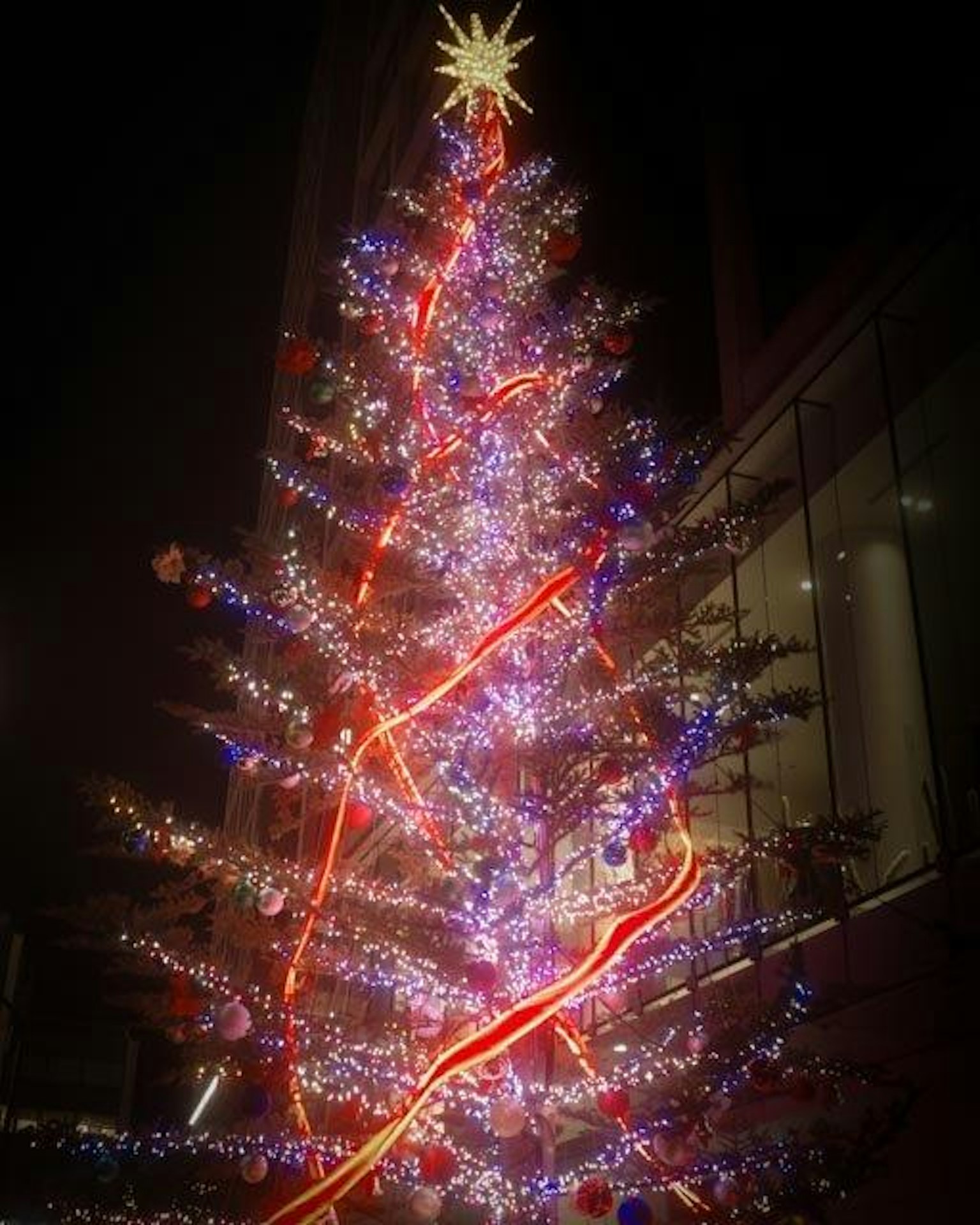 Cây thông Noel được trang trí đèn màu sắc rực rỡ vào ban đêm với một ngôi sao sáng trên đỉnh