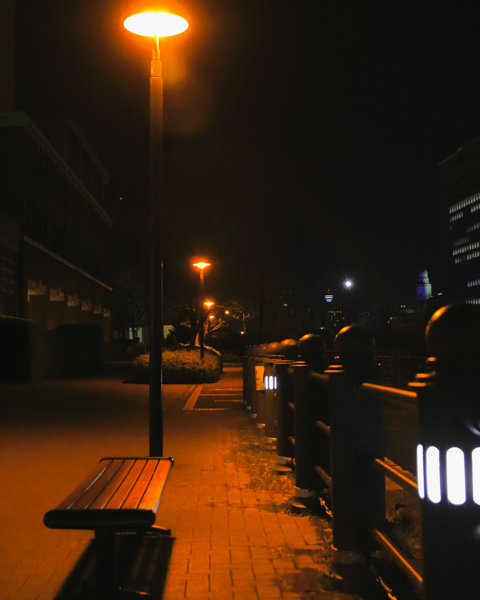 Escena nocturna de un banco y farolas a lo largo de un paseo