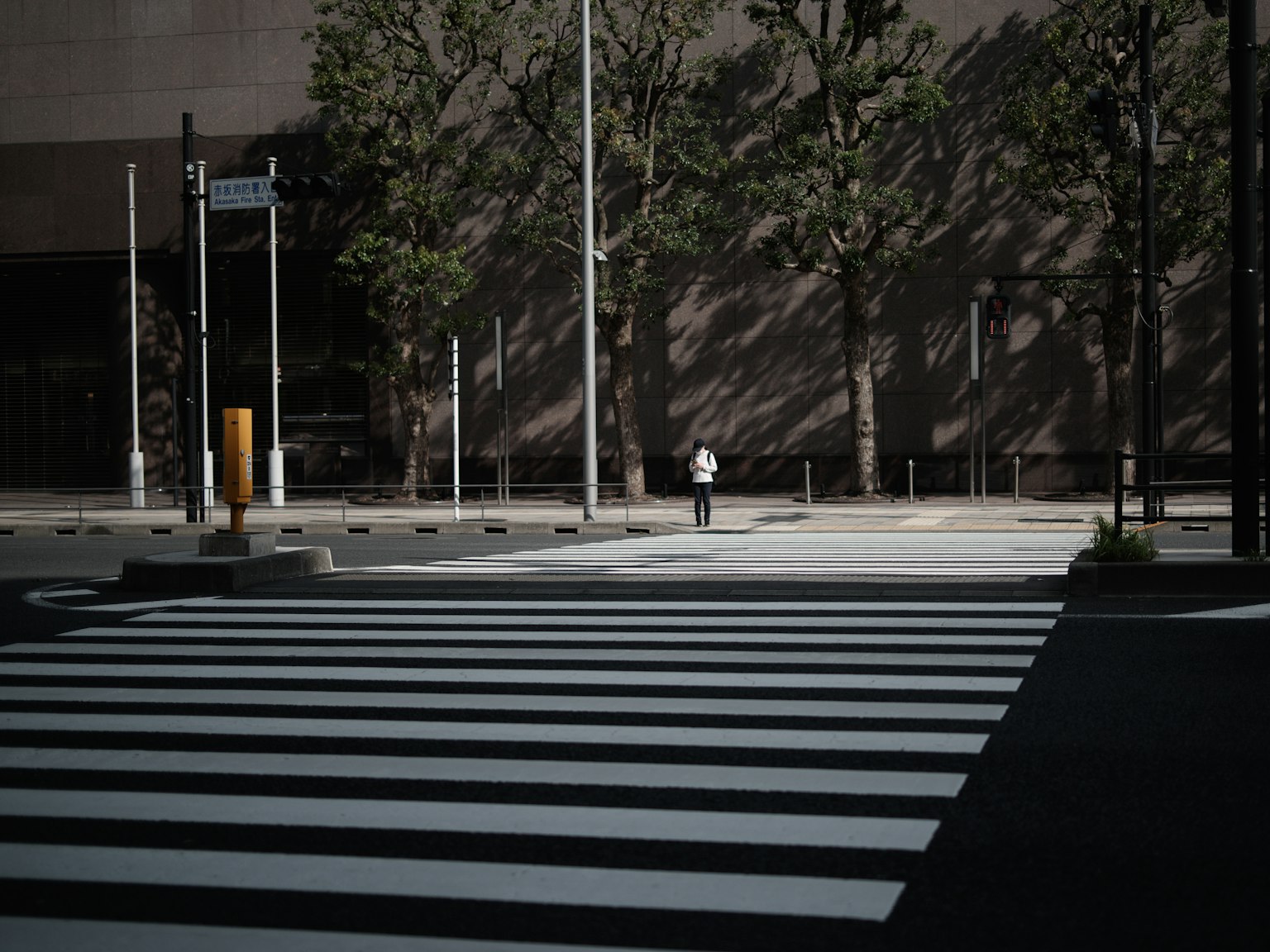 คนยืนอยู่บนทางม้าลายพร้อมเงารอบๆ