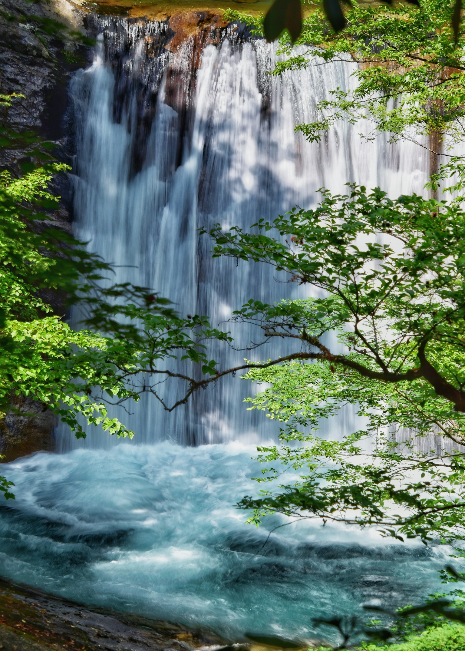 Hermosa cascada con agua azul fluyendo rodeada de árboles verdes