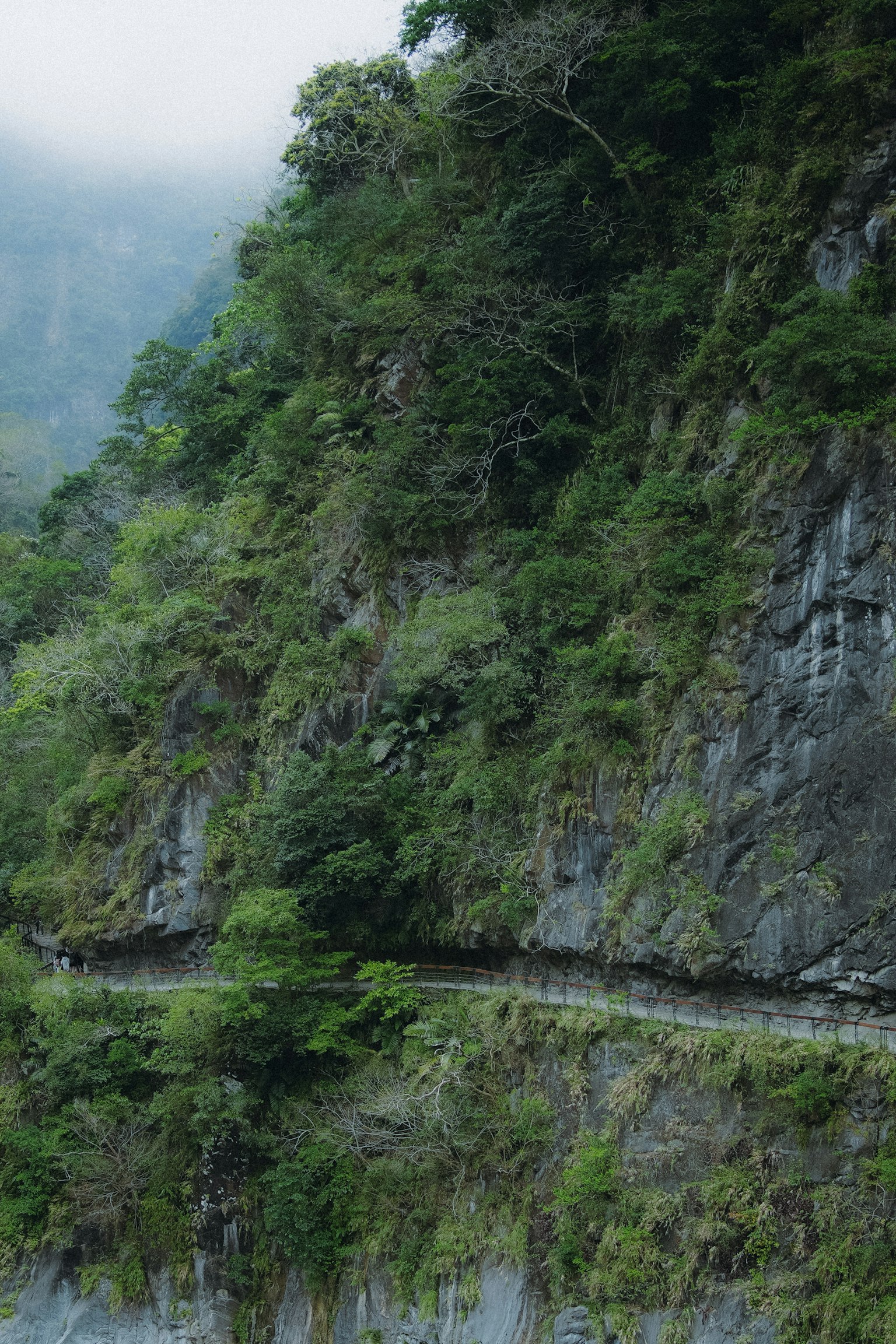 Falaises verdoyantes avec une route sinueuse visible dans le paysage