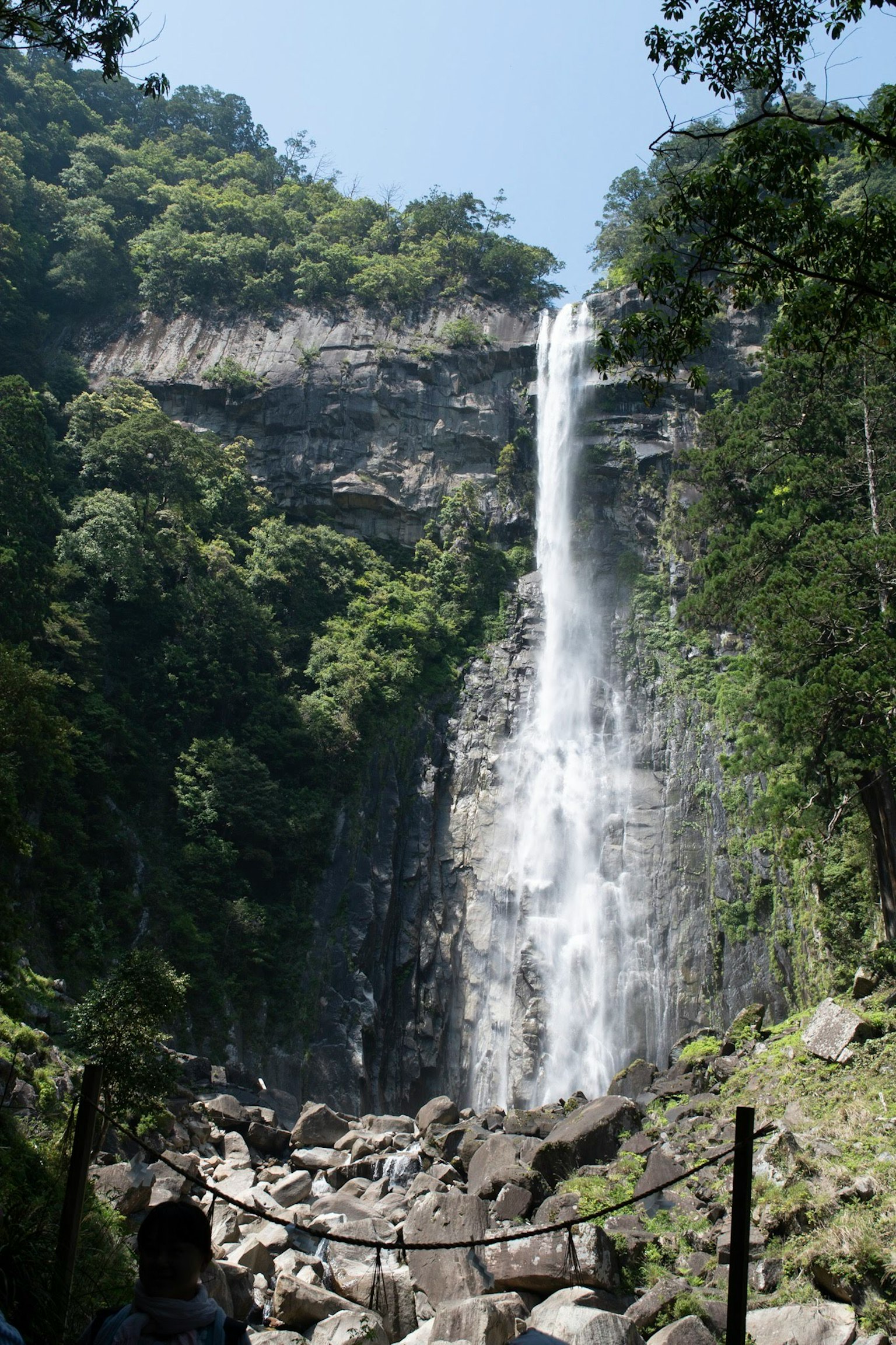 Belle cascade entourée d'une forêt verdoyante