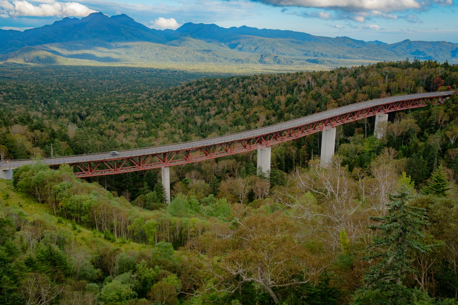 Viadotto rosso che attraversa una foresta verdeggiante con montagne in lontananza