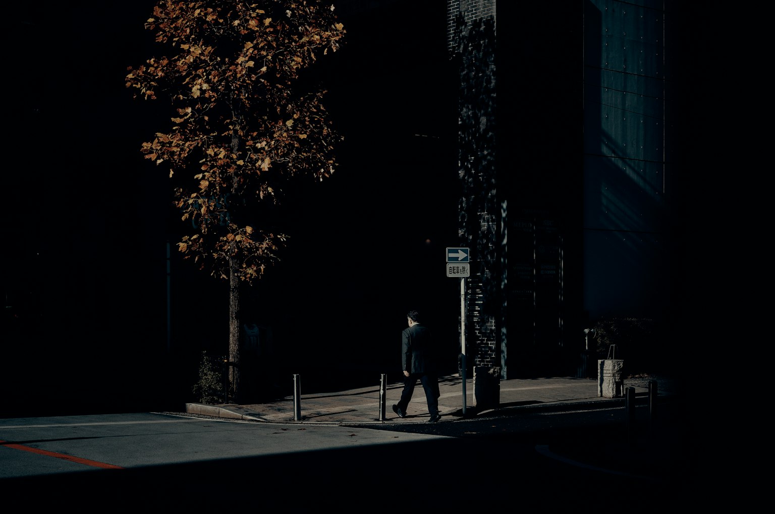 photo-iRDNpgtn3CQml9wb2dUH-image