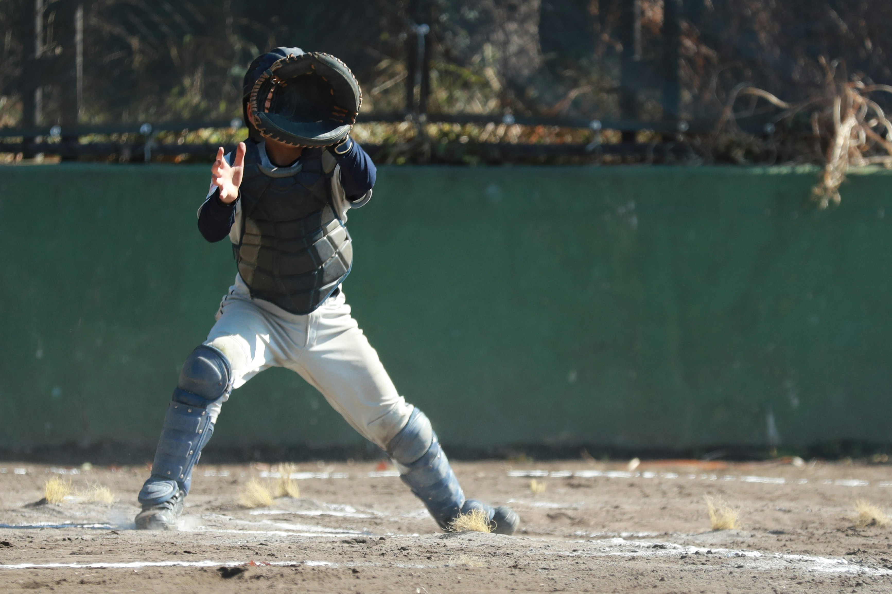 Ein junger Baseball-Catcher kauert auf dem Spielfeld