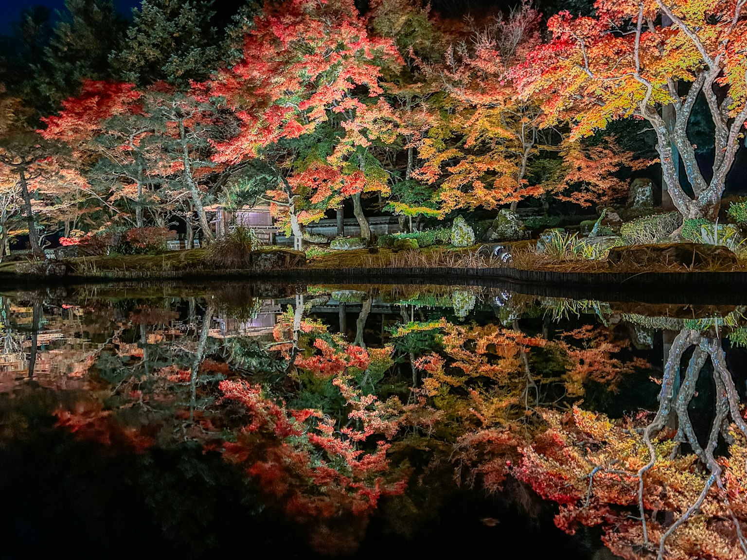 Beautiful night scene with colorful autumn leaves and their reflection