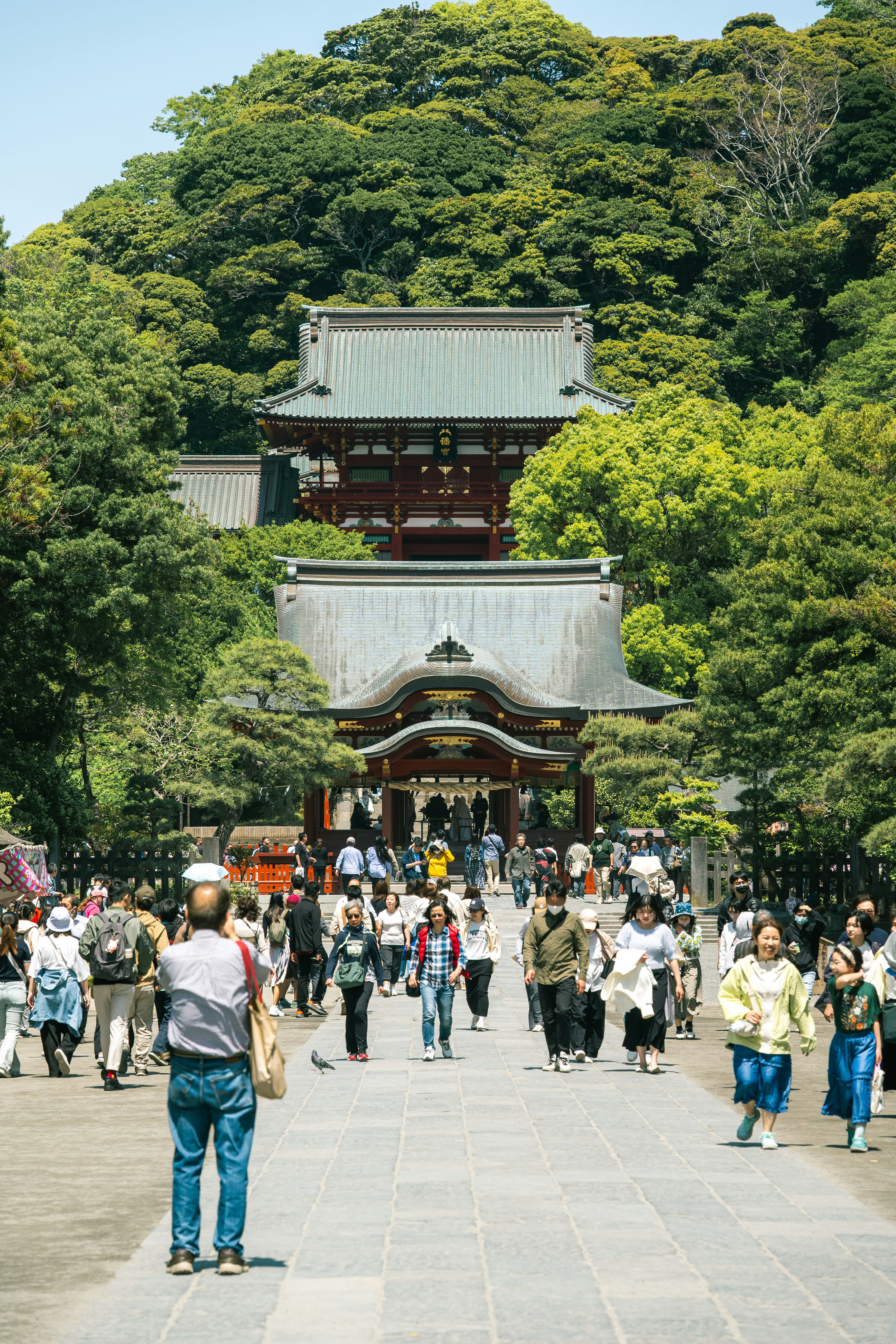 緑の森に囲まれた神社の参道と鳥居のある門前