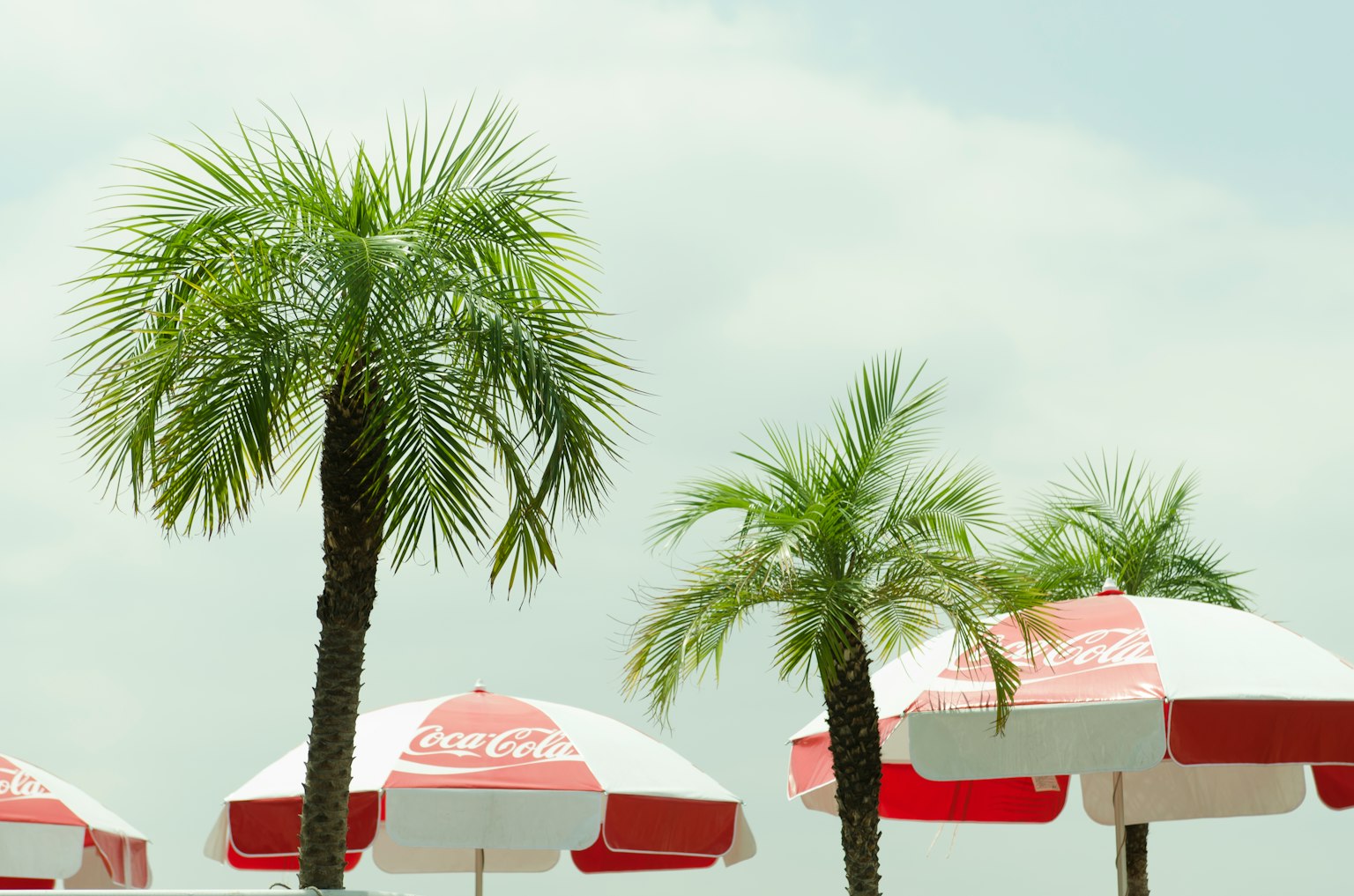 Palmiers et parasols rouges et blancs sous un ciel dégagé