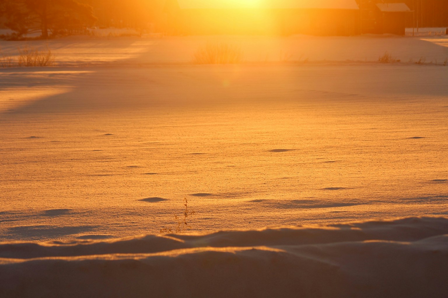 A snowy landscape illuminated by a beautiful sunset