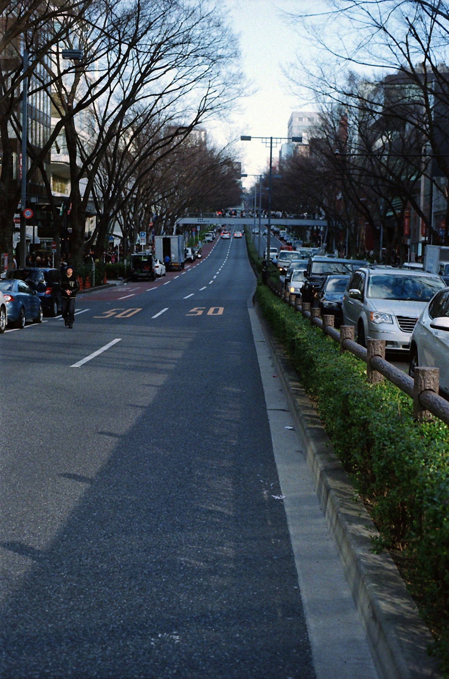 Vista di una tranquilla strada cittadina con biciclette e auto parcheggiate lungo la vegetazione e gli alberi