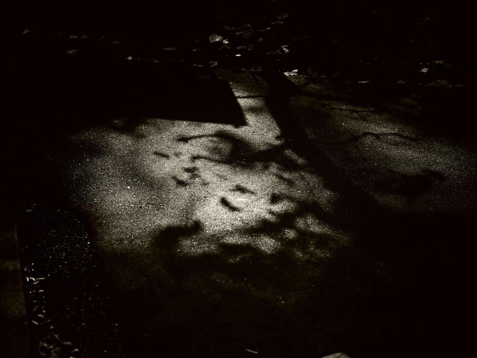 Motivi di luce e ombra su una superficie scura