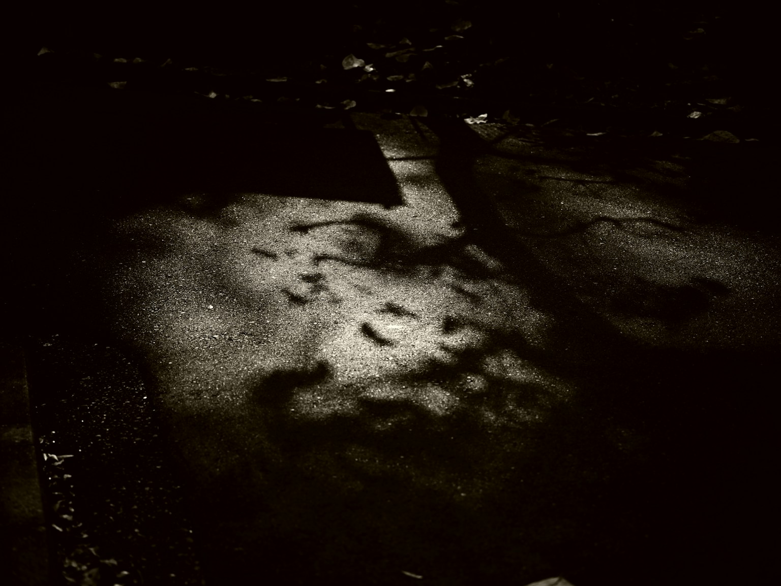 Motifs de lumière et d'ombre sur une surface sombre