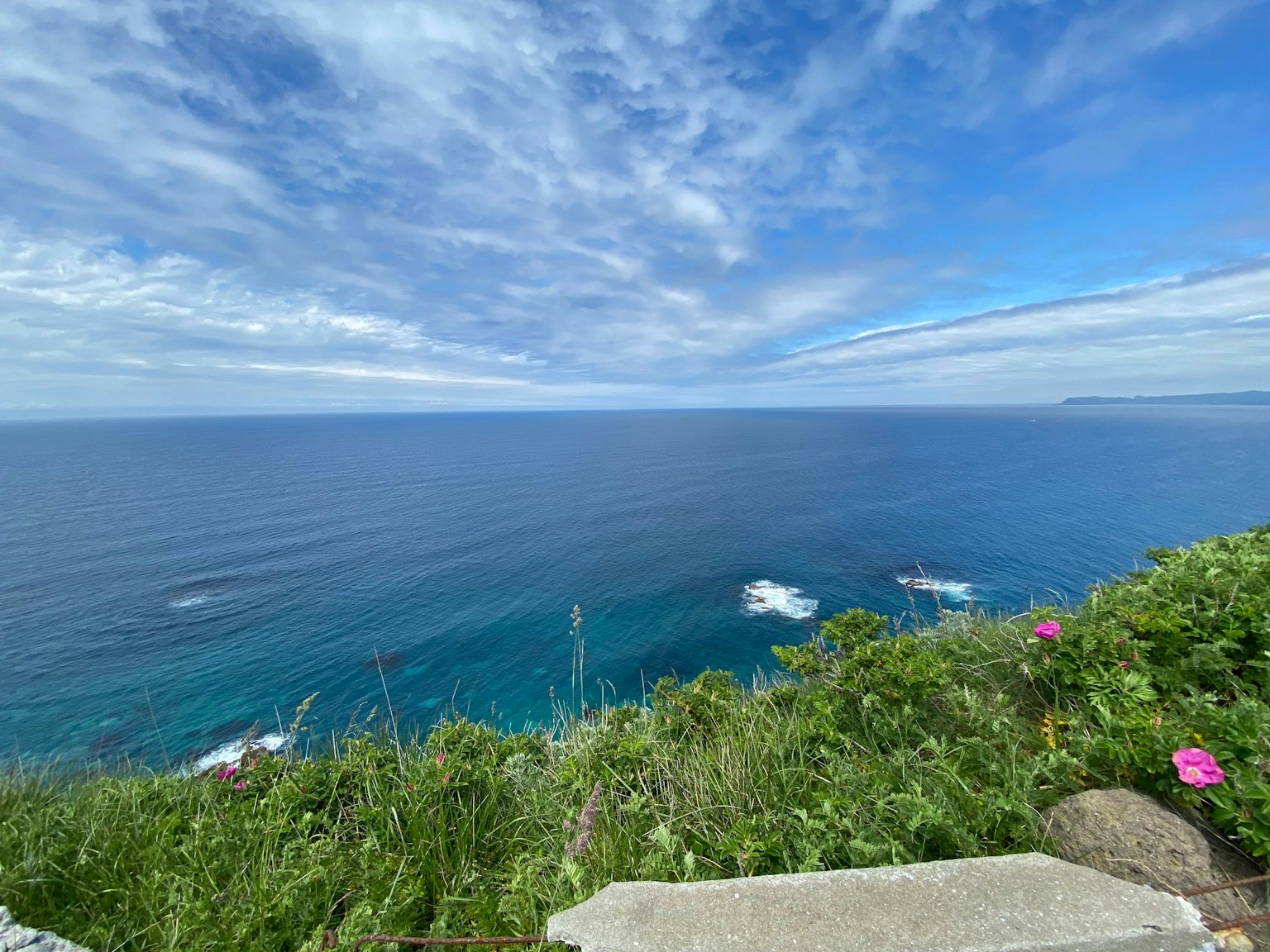 Panoramablick auf den blauen Ozean und den Himmel mit grünem Gras und Blumen im Vordergrund