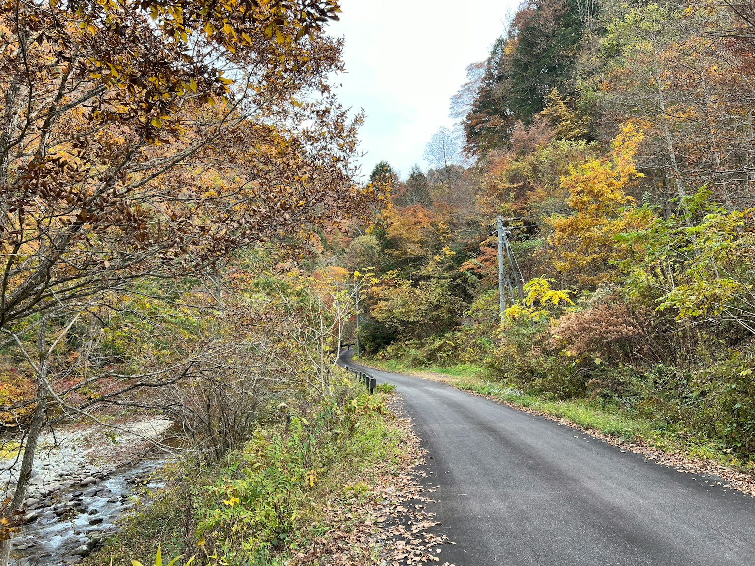 Strada di montagna serena circondata da fogliame autunnale e un fiume