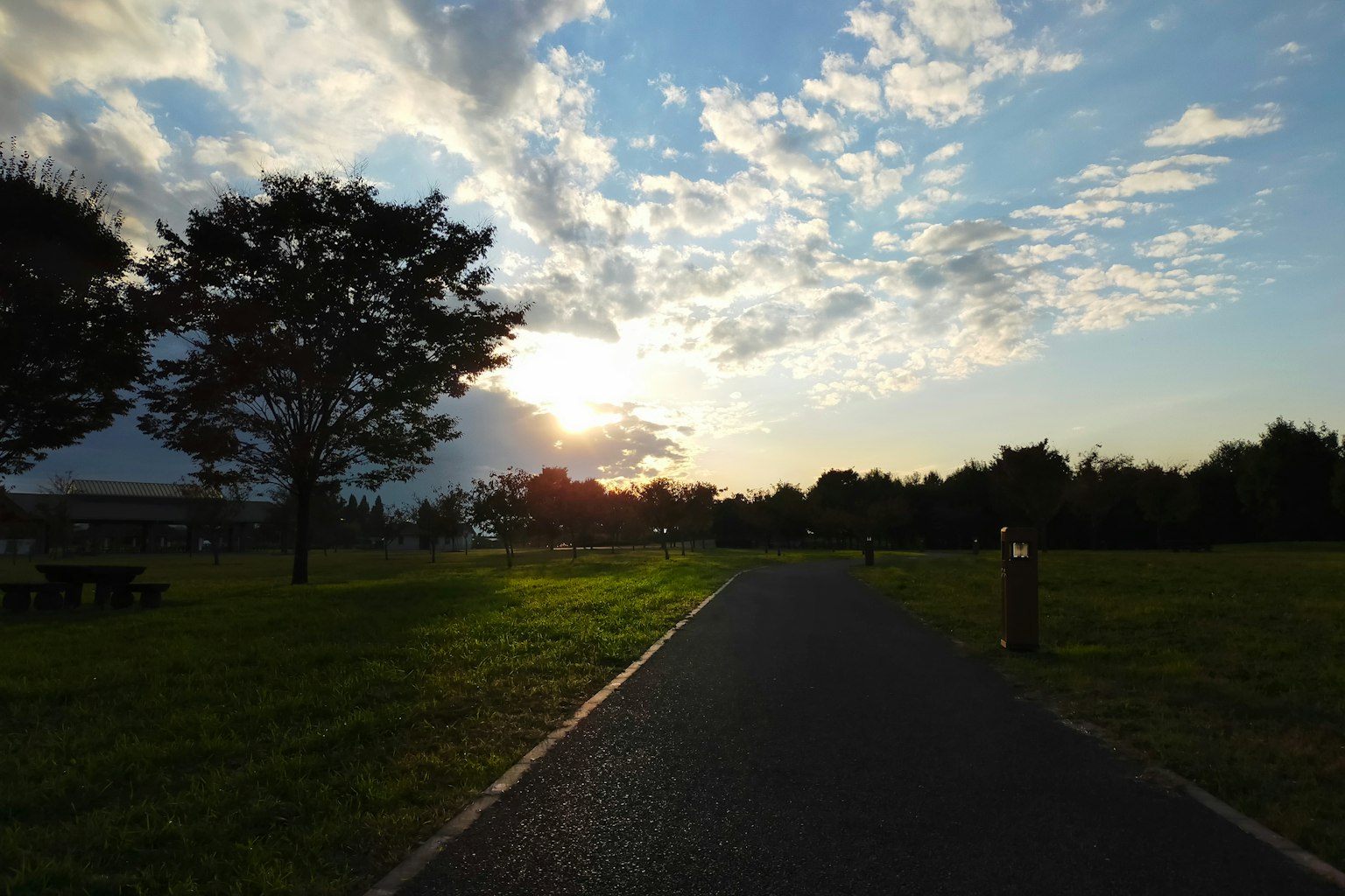 Paisaje de un parque al atardecer con un camino y árboles