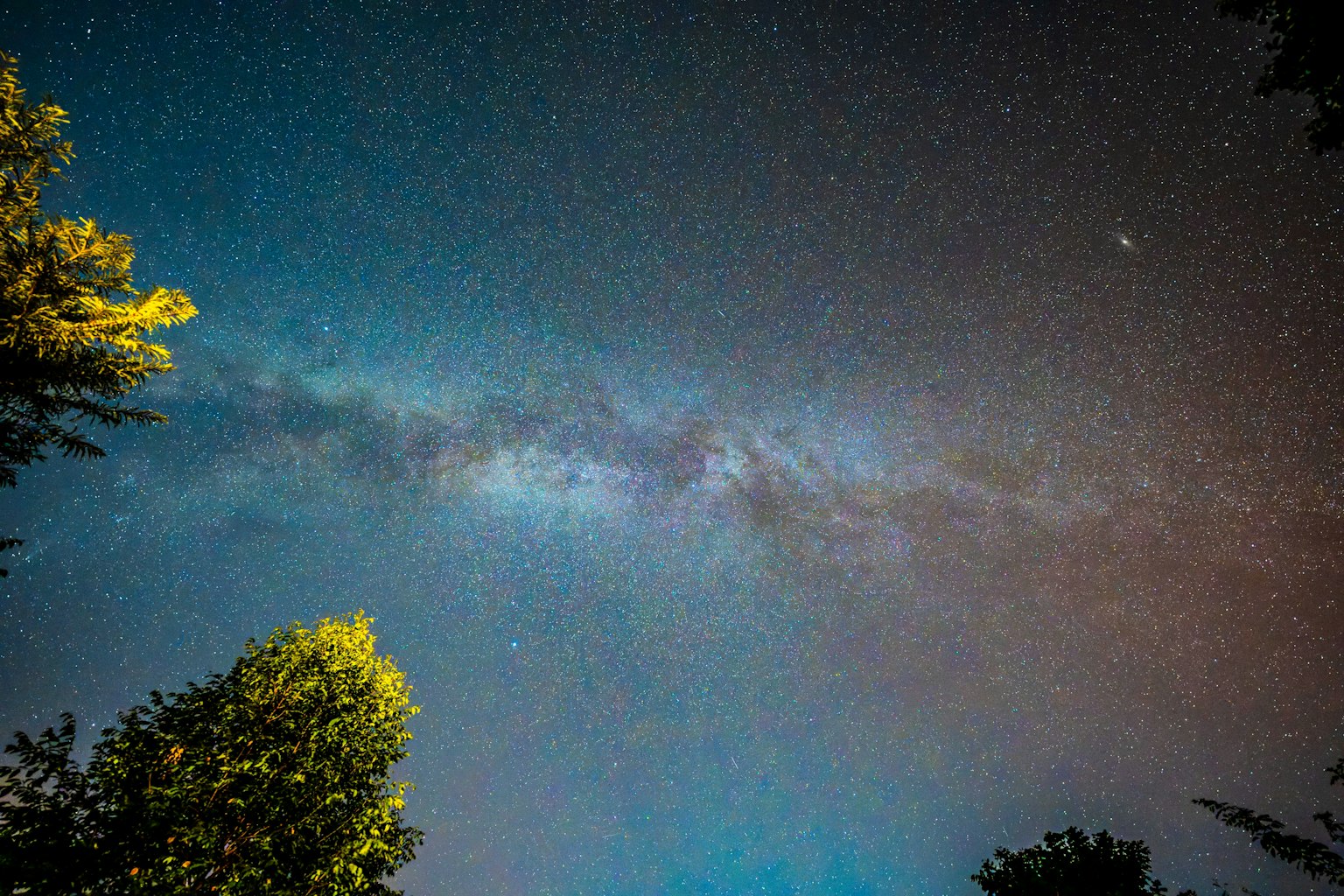 夜空中可見的銀河與樹木的輪廓
