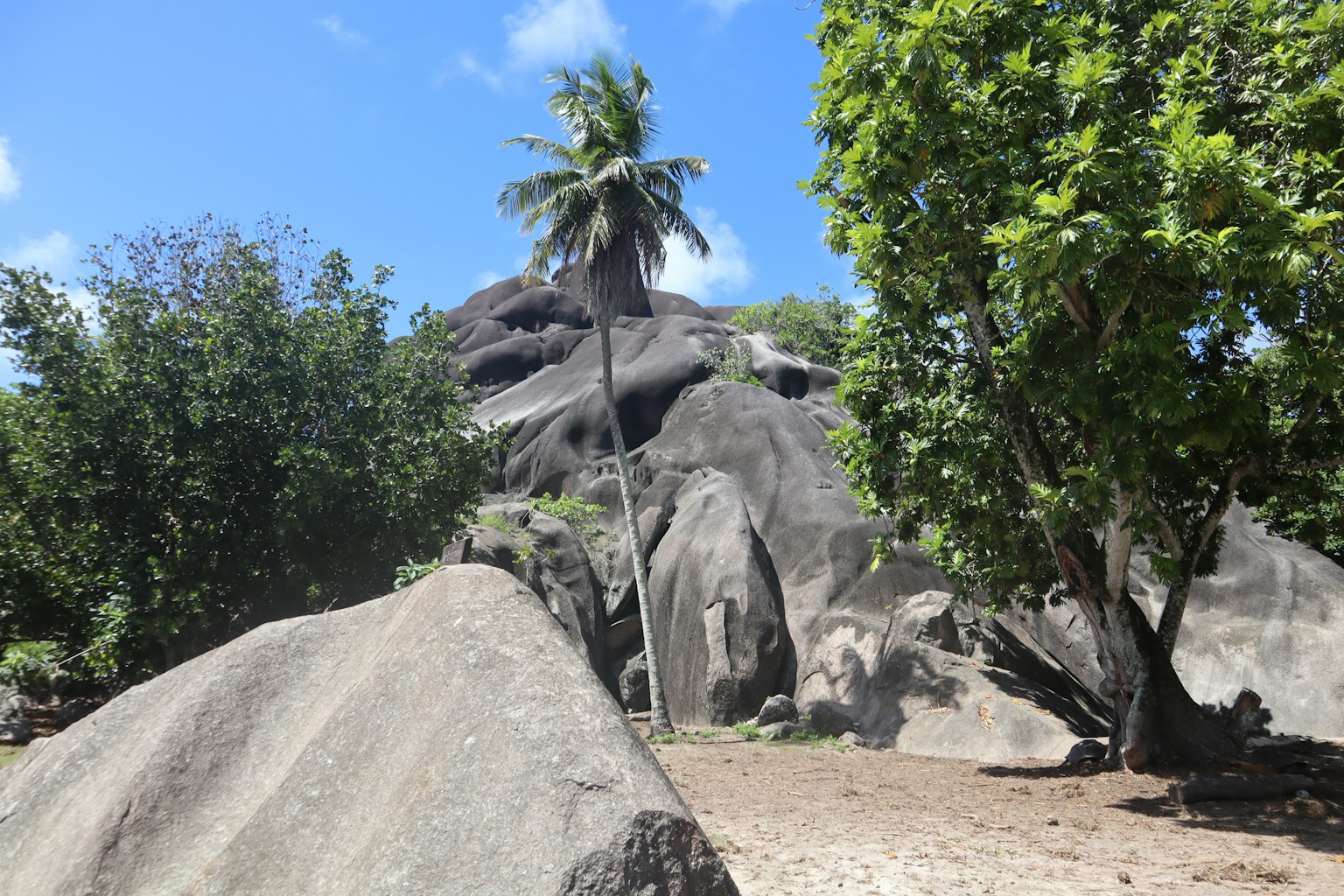 Paysage tropical avec de grandes roches et des palmiers