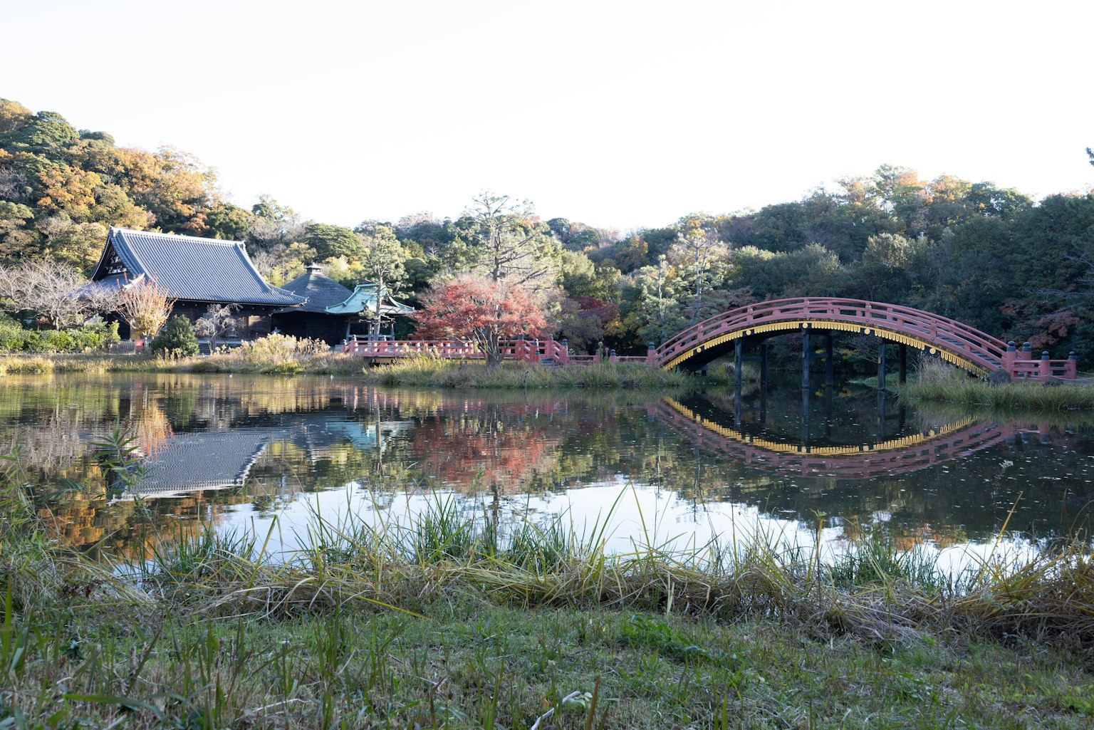 池と赤い橋が映る日本庭園の風景