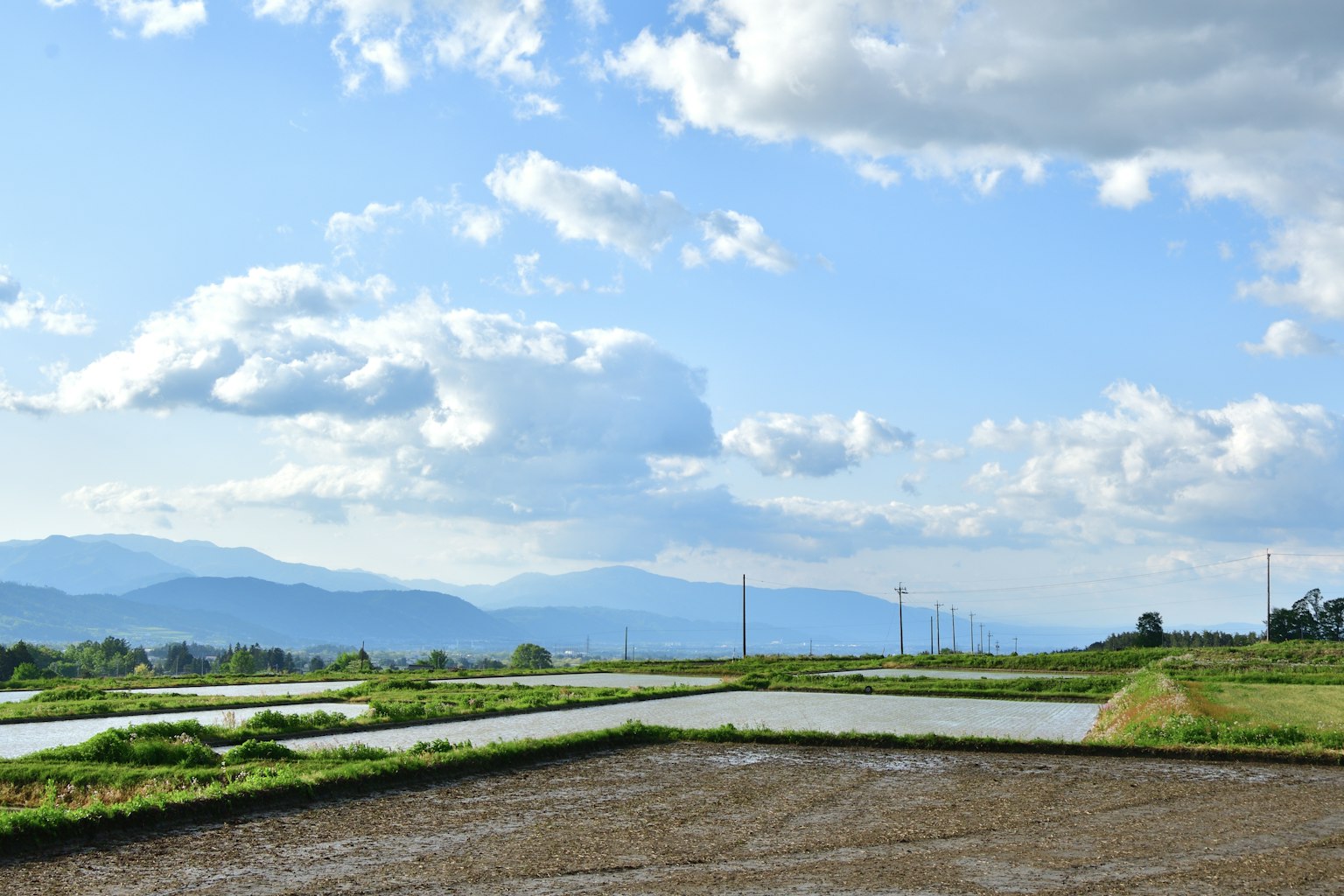 綠色田野在藍天和白雲下的風景