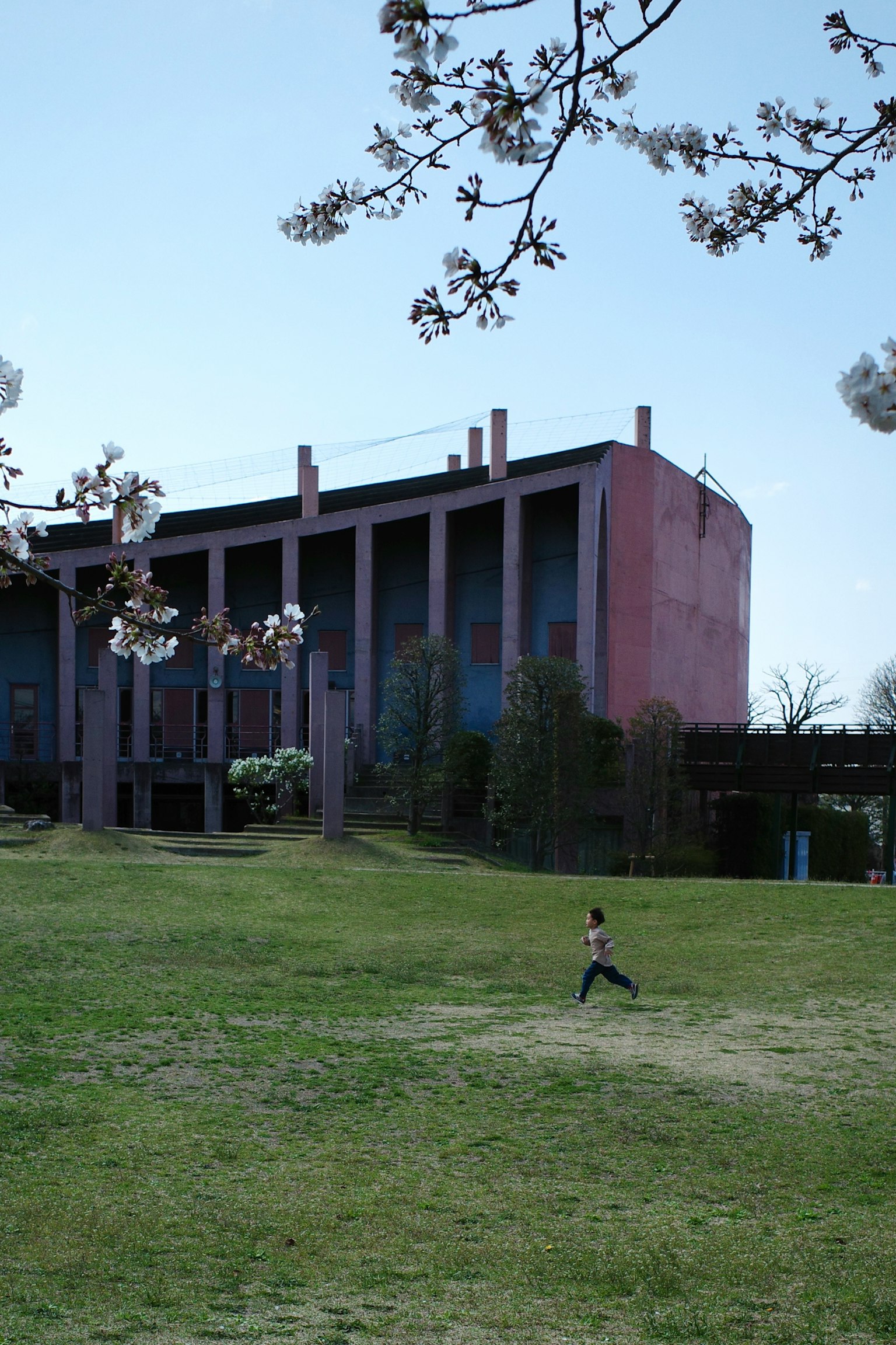 photo-iW1m6oSWm5streTgri7a-image