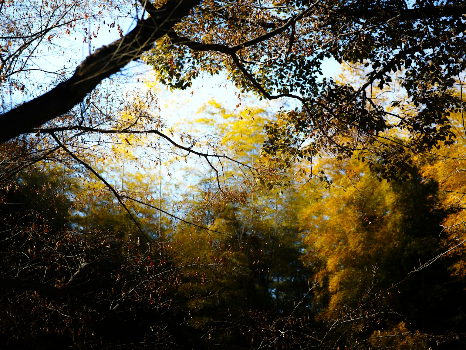 photo-iWLDCK3eVD34hEKIurxM-image