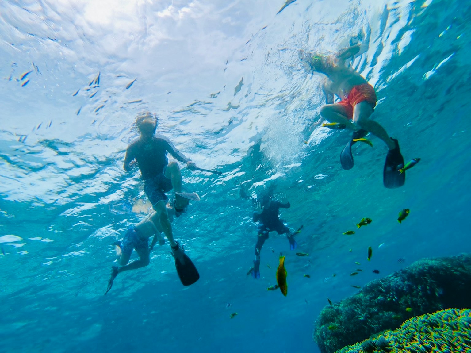 Sekelompok orang snorkeling di bawah air laut biru dengan pantulan cahaya