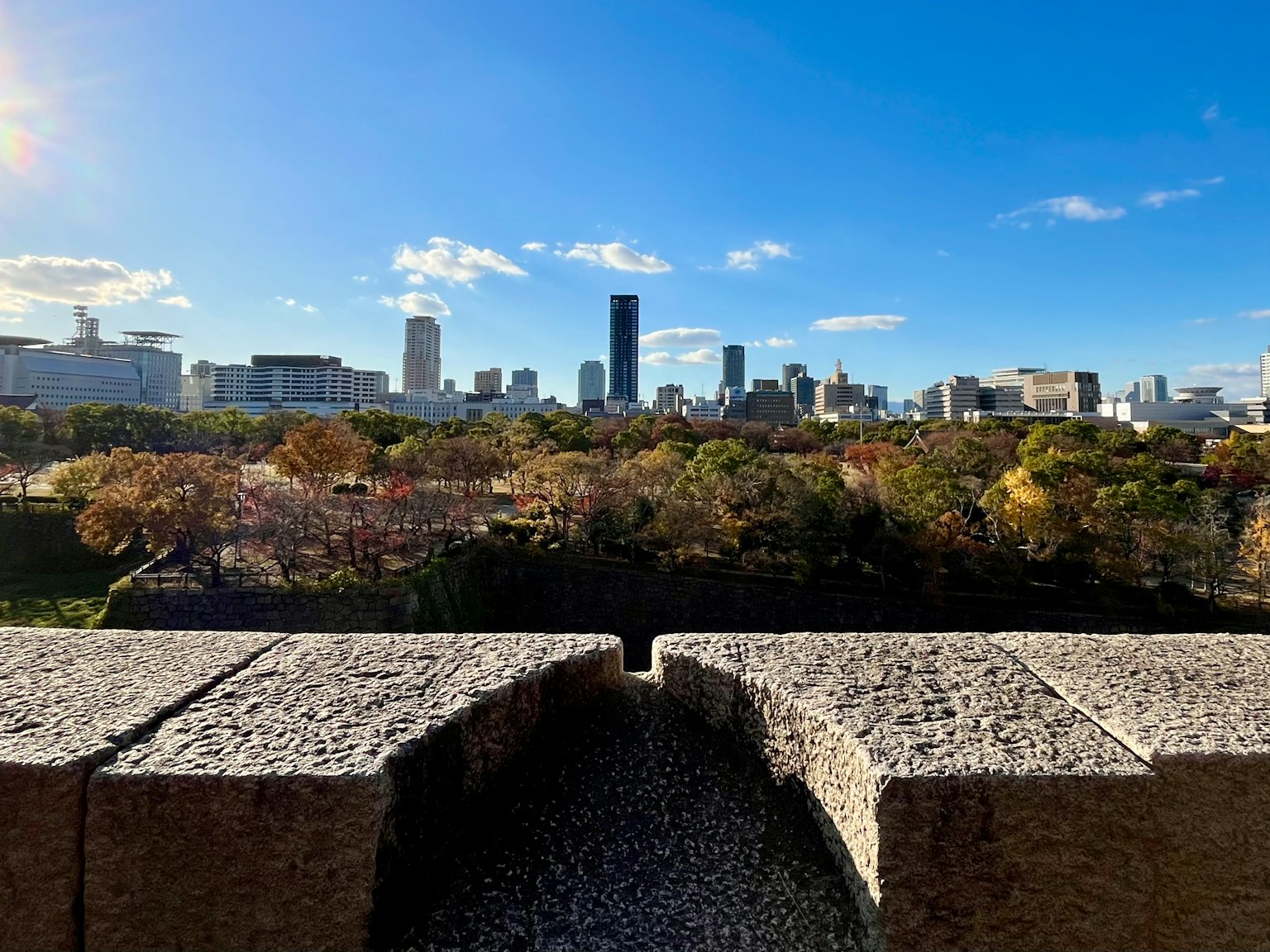 Scenic view of Osaka city skyline with park in foreground