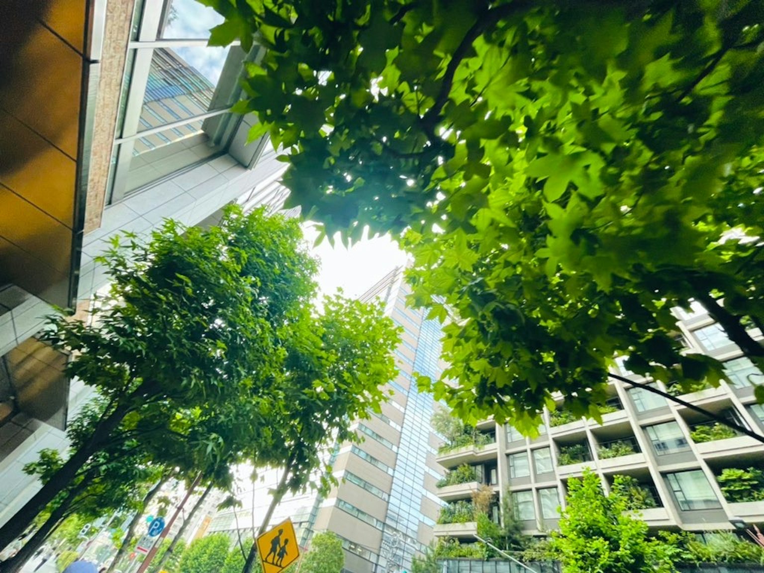 城市景观，展现高楼和茂盛的绿树