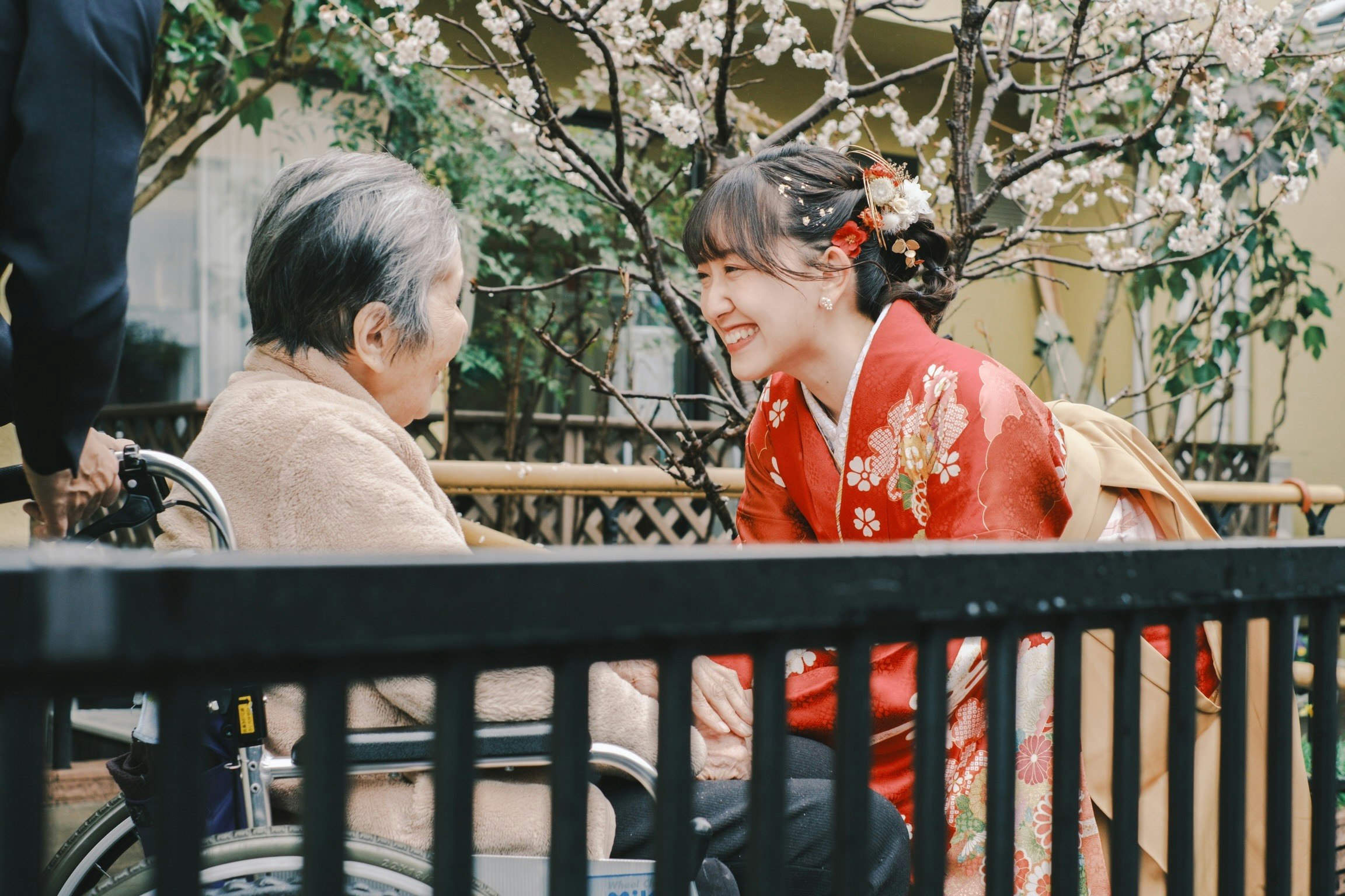 Kimono-clad grandmother and grandchild chatting under cherry blossoms