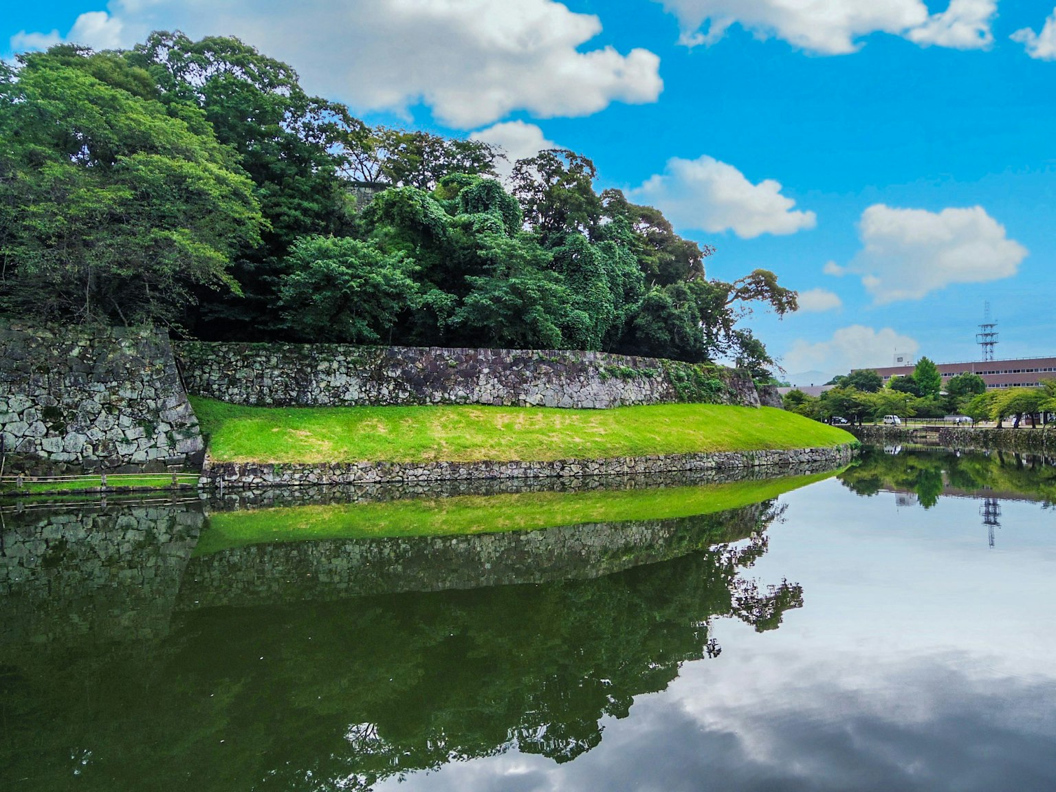 藍天白雲下郁郁蔥蔥的河岸風景