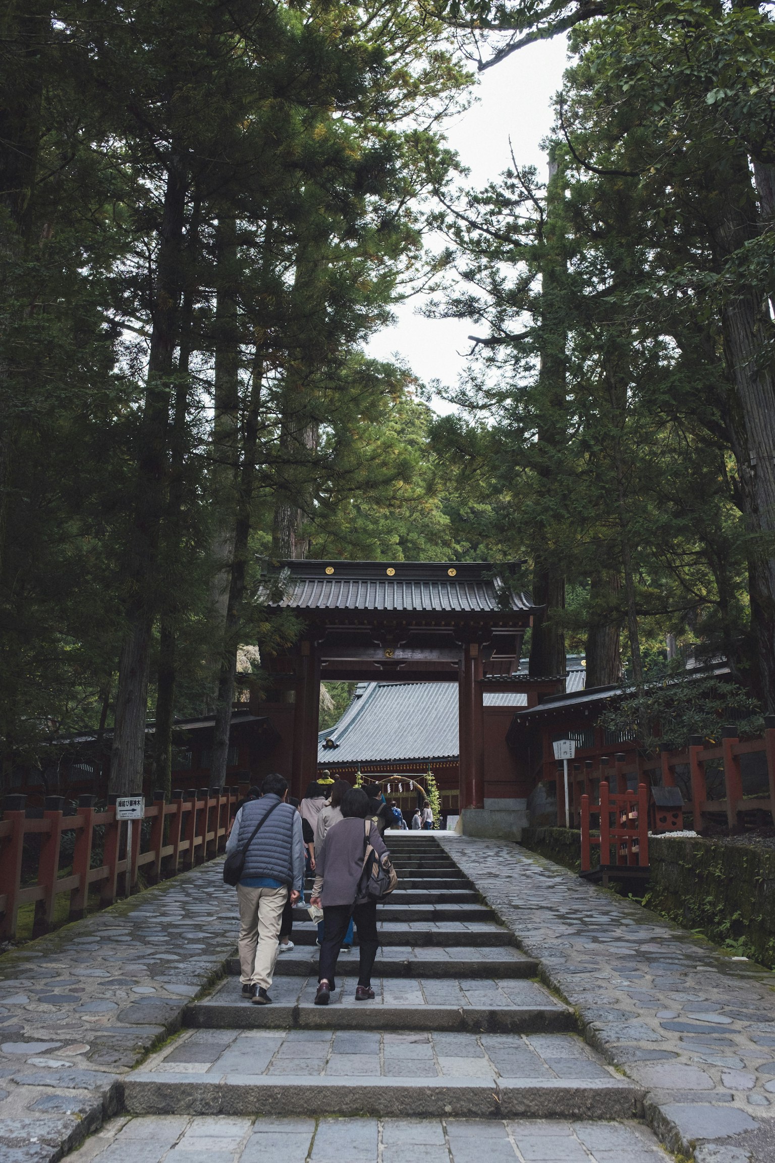 人們走向被郁郁蔥蔥的綠樹環繞的神社入口