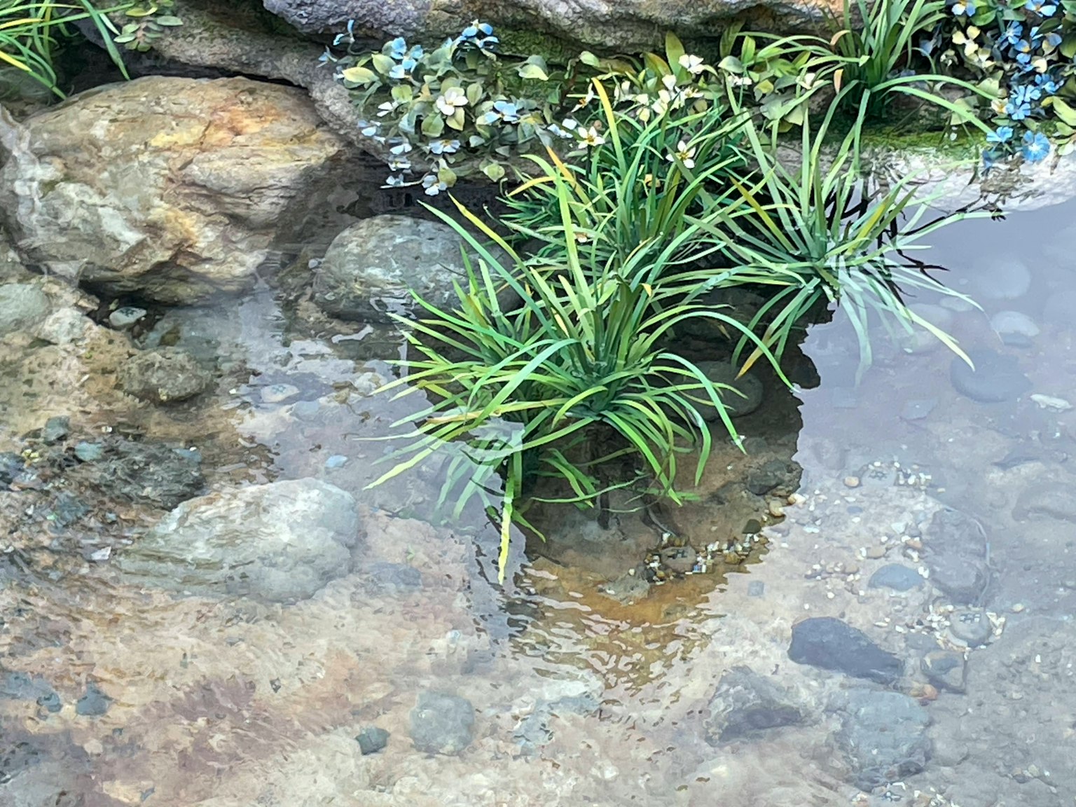 Una escena de agua serena con plantas verdes y piedras lisas